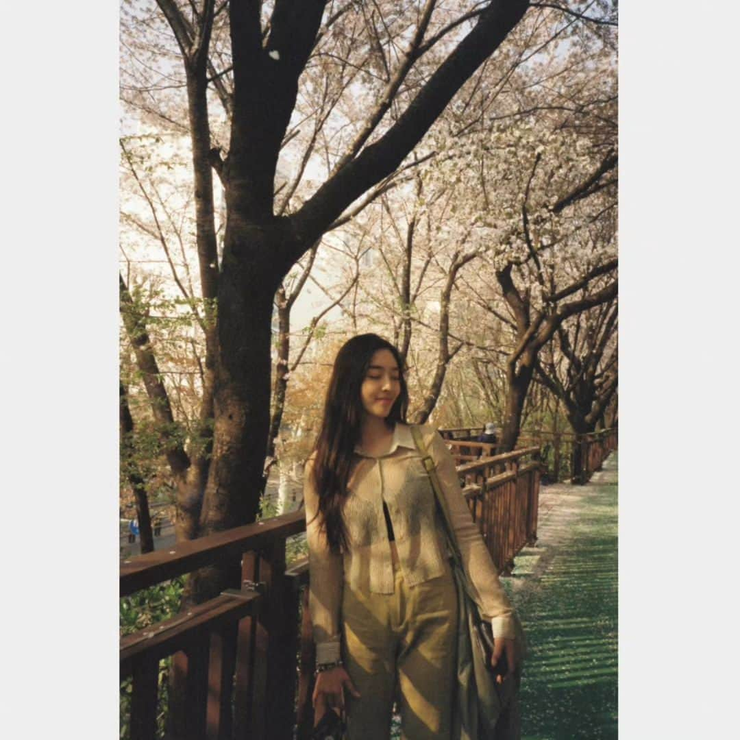 チャンミさんのインスタグラム写真 - (チャンミInstagram)「🌸봄날🌸  자매들이랑 함께 한 꽃놀이🫧」9月13日 1時47分 - dohwa_blossom_