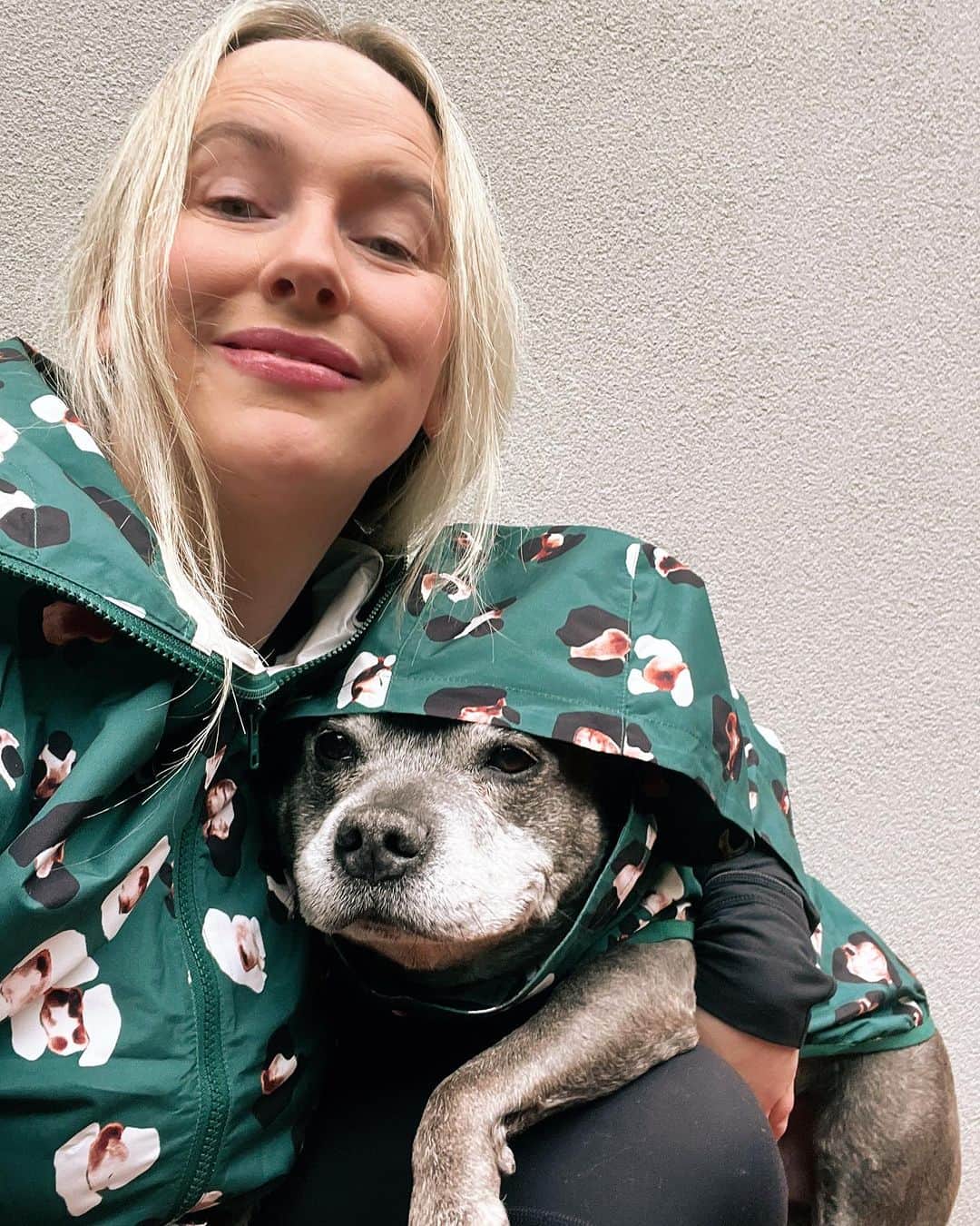 のインスタグラム：「Philly refuses to walk in the rain unless he has his raincoat on. Sorry that was a lie. Philly refuses to walk in the rain regardless of whether or not he’s wearing a raincoat. Sorry that was also a lie. Philly refuses to walk almost always, regardless of the weather 🤣🤣 But for most of you, this raincoat would really do the trick! 😂☔️🌧️🐶  Available tomorrow 11am AEST! @darrenandphillip」