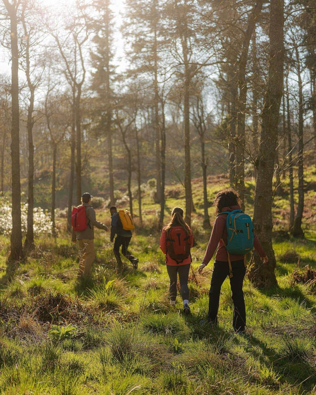 エディー・バウアーさんのインスタグラム写真 - (エディー・バウアーInstagram)「Mentally we're here 🌲  You asked. We listened. You can now shop Eddie Bauer clothing and gear across the UK and EU with @eddiebauereurope! Visit our link in bio to shop. #LiveYourAdventure」9月13日 3時21分 - eddiebauer