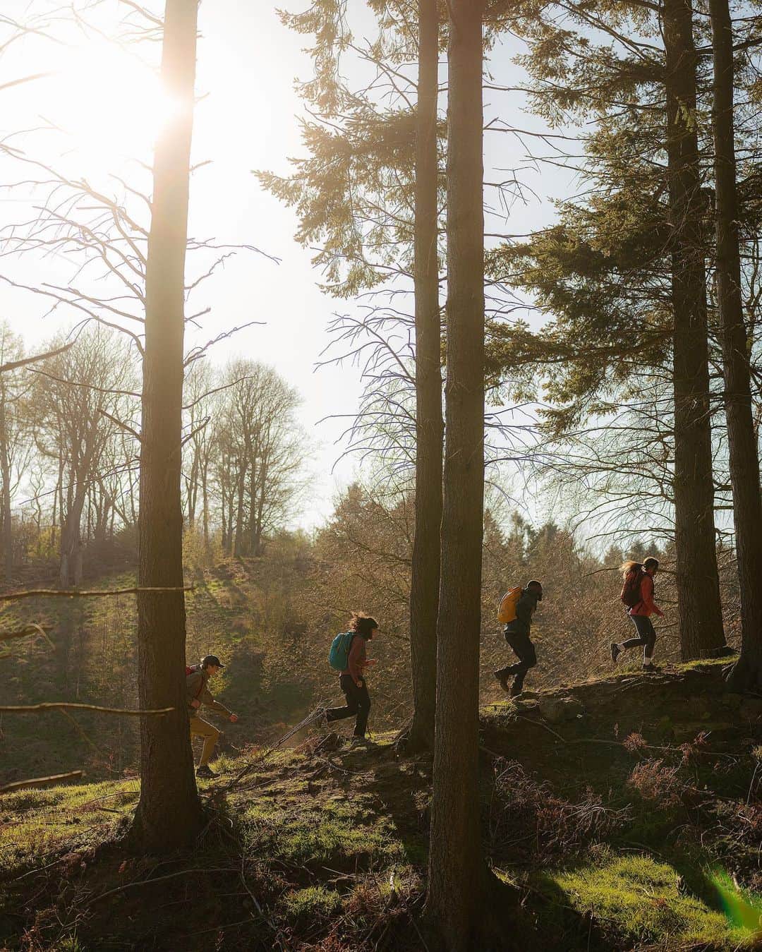 のインスタグラム：「Mentally we're here 🌲  You asked. We listened. You can now shop Eddie Bauer clothing and gear across the UK and EU with @eddiebauereurope! Visit our link in bio to shop. #LiveYourAdventure」