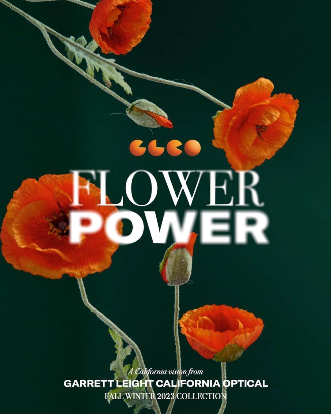ジーエルシーオーのインスタグラム：「GLCO Fall/Winter 2023: Flower Power  It’s San Francisco in 1967 and 100,000 youth have gathered in Haight-Ashbury for the Summer of Love. A celebration of music, art, psychedelics, free thought, and free love.  For our Fall/Winter collection, we drew inspiration from this California counterculture happening. But it’s 2023 and nothing’s free in SF these days. The rents may rise but the love remains. The drugs are legal now and our modern flower children are more WIFI than tie dye, crystals replaced with silicone chips.  So no more “dirty hippies”, this is glowing skin from a well manicured wellness routine. But don’t get it twisted - the thoughts are still free and the flower power ethos has evolved. It’s still California after all, and we see things differently here.   — Garrett Leight」