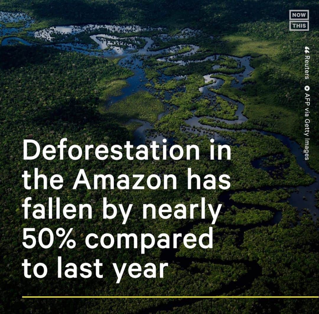 レオナルド・ディカプリオのインスタグラム：「Repost from @nowthisearth  • In the first 8 months of 2023, there has been 48% less deforestation in the Amazon compared to the same time period last year, based on satellite data gathered by Brazil’s space research agency INPE. The data also showed that there’s been approx 66% less deforestation this month, making it the region’s least destructive August since 2018.  President Luiz Inácio Lula da Silva said he aims to end deforestation in the Amazon completely by 2030. Since taking office, he has tightened regulations and demarcated Indigenous land to help slow the rate of deforestation.」