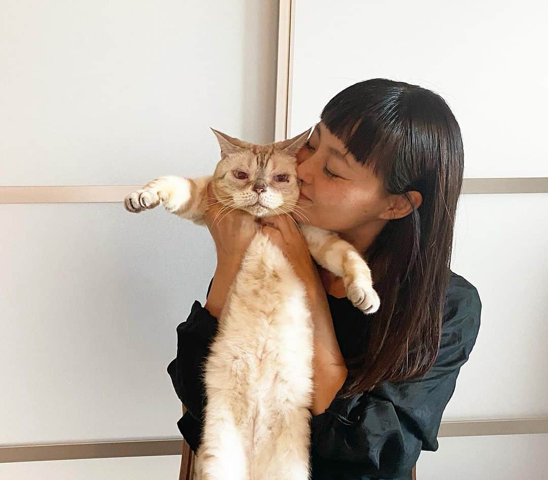 青山有紀さんのインスタグラム写真 - (青山有紀Instagram)「愛しのガルちゃんが15歳になりました❤️㊗️❤️  毎秒可愛さアップデートがすごくて、15年経っても目が追いつきません😻❤️ いつもガルちゃんを可愛がってくださるみなさん、ありがとうございます💕💕💕 #garu_cat #ガル様」9月13日 15時43分 - yukiaoya
