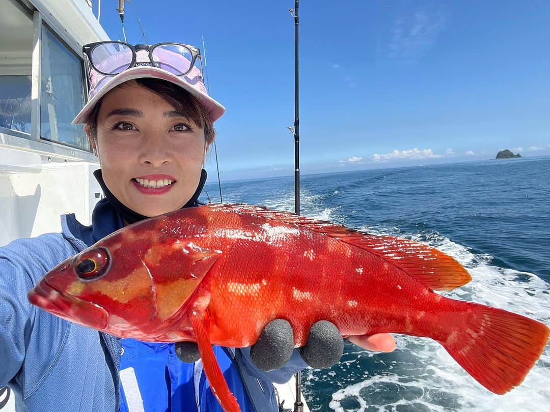 川目梢さんのインスタグラム写真 - (川目梢Instagram)「静岡は伊東までアカハタ釣り行ってきやした✌️  いやぁー きょーれつな引き たまらん 魚体がキレイだし 食べてもうまい😋  どーつき&ぶらくりで🙋‍♀️  #アカハタ #アカハタ釣り #釣り #釣りガール #釣り女子 #釣りスタグラム #釣りバカ #釣り好きな人と繋がりたい」9月13日 16時09分 - kozukozu0615