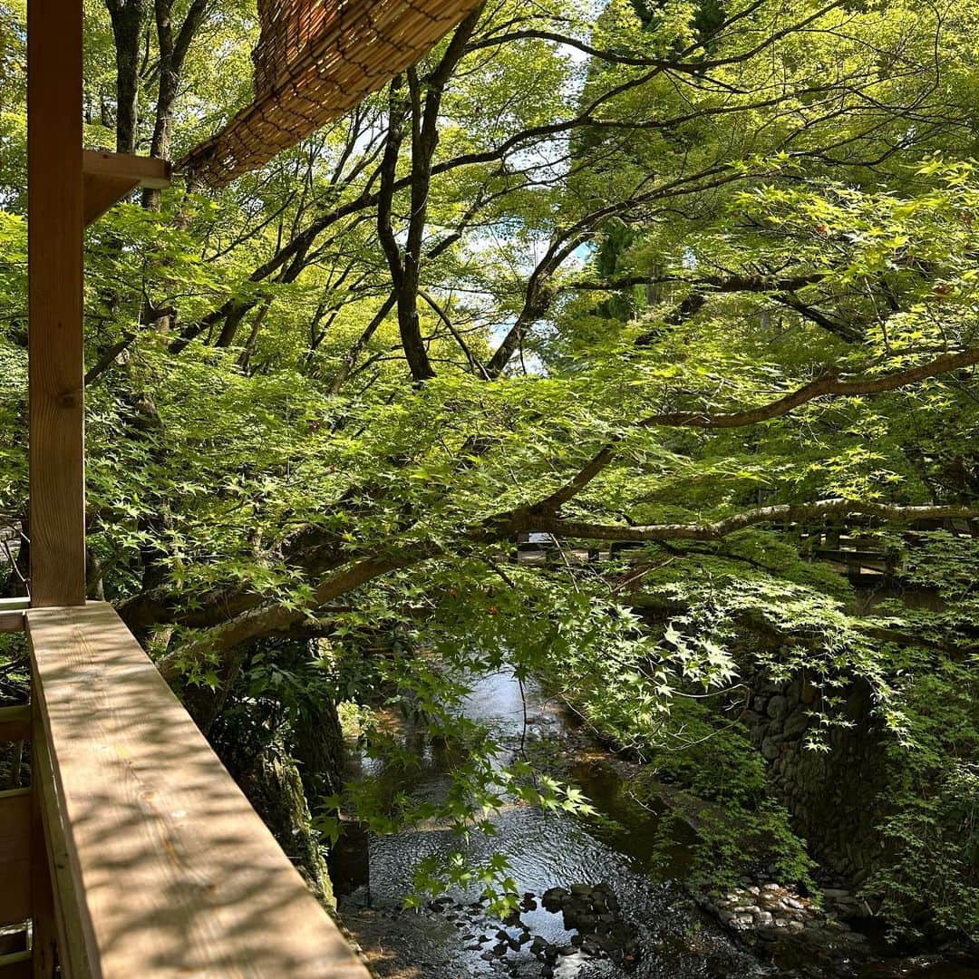 木本史子さんのインスタグラム写真 - (木本史子Instagram)「⁡ ⁡ ⁡ @shozan_resort_kyoto で 床ランチ😋🍴💕 ⁡ ⁡ ⁡ ⁡ ⁡ ⁡ ⁡ ⁡ #京都ランチ #京都グルメ #関西ランチ #関西グルメ #しょうざん ⁡ ⁡」9月13日 16時34分 - chikakokimoto