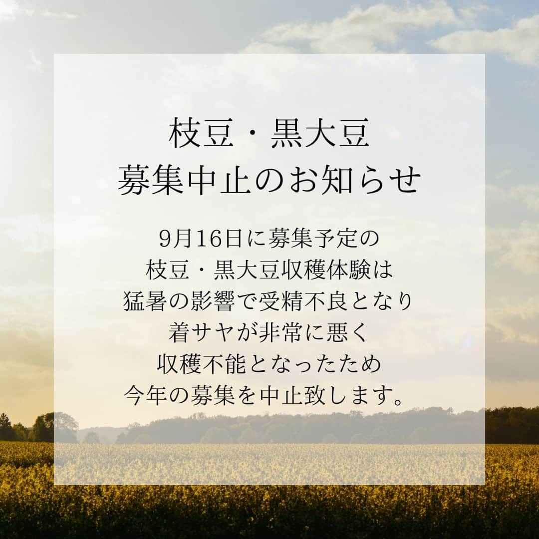 道の駅やちよさんのインスタグラム写真 - (道の駅やちよInstagram)「＊ 【枝豆・黒大豆募集中止のお知らせ】 9月16日に募集予定の枝豆・黒大豆収穫体験は、猛暑の影響で受精不良となり、着サヤが非常に悪く収穫不能となったため、今年の募集を中止致します。  #道の駅やちよ　#農業交流センター　#収穫体験　#枝豆　#黒大豆 #中止」9月13日 16時50分 - michinoeki_yachiyo090720