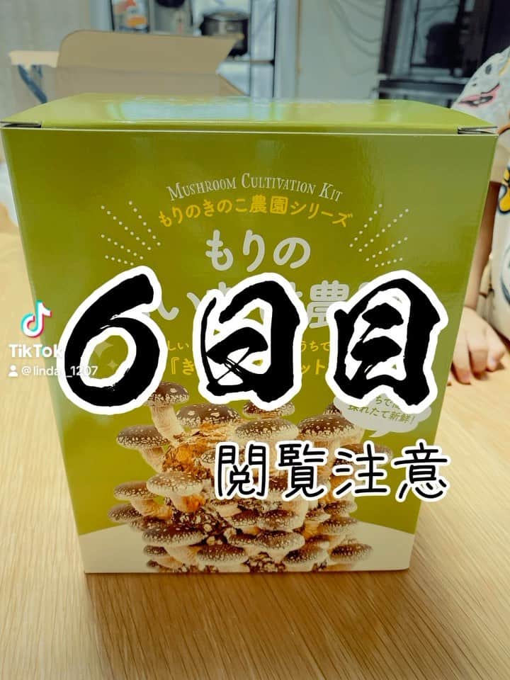 鈴木りんだのインスタグラム：「６日目です。#椎茸栽培 #嫌いな物を克服しよう計画」