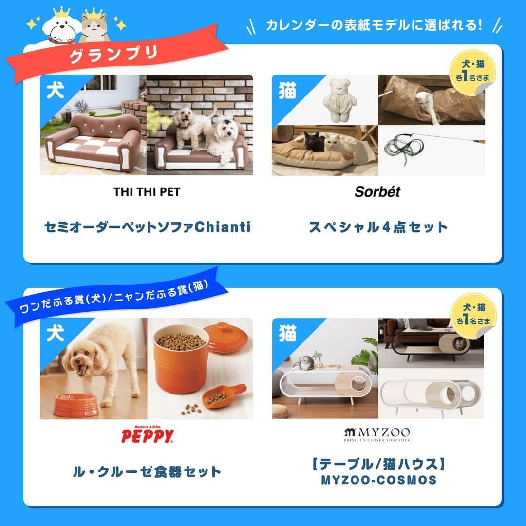 アイペット ペットスナップキャンペーンのインスタグラム