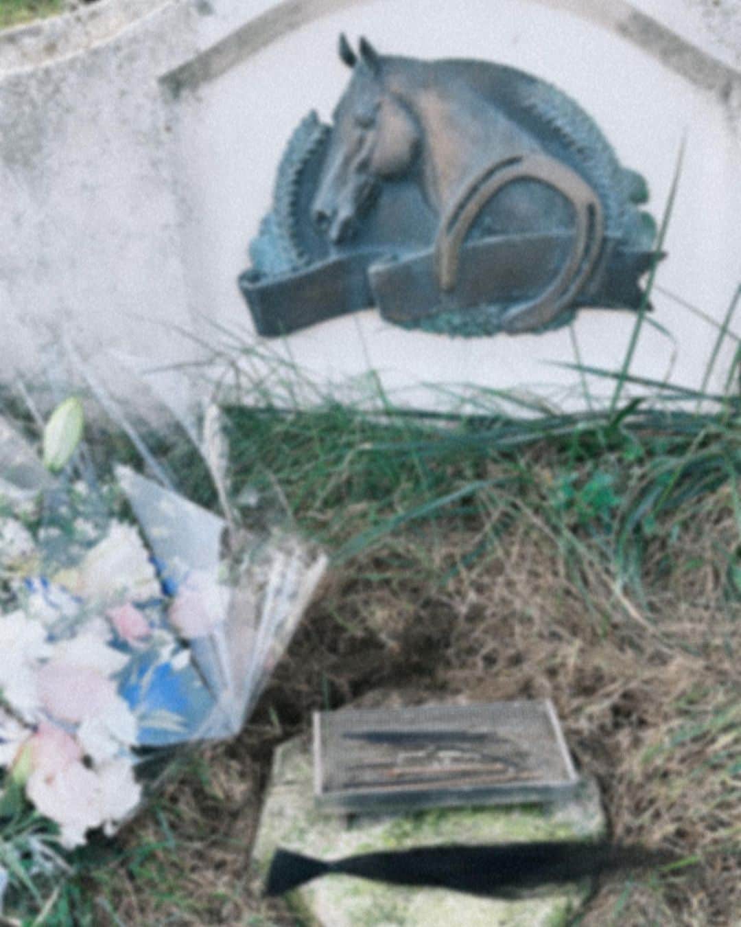 紗栄子さんのインスタグラム写真 - (紗栄子Instagram)「今朝、みんなでジェニオのたてがみをファームに埋葬しました。  最後の3日間、私にたくさんの気づきを与えてくれたジェニオ。  あなたが残していってくれたものをしっかり形にしていくために私も頑張る。  ありがとうジェニオ。  またね。」9月13日 16時53分 - saekoofficial