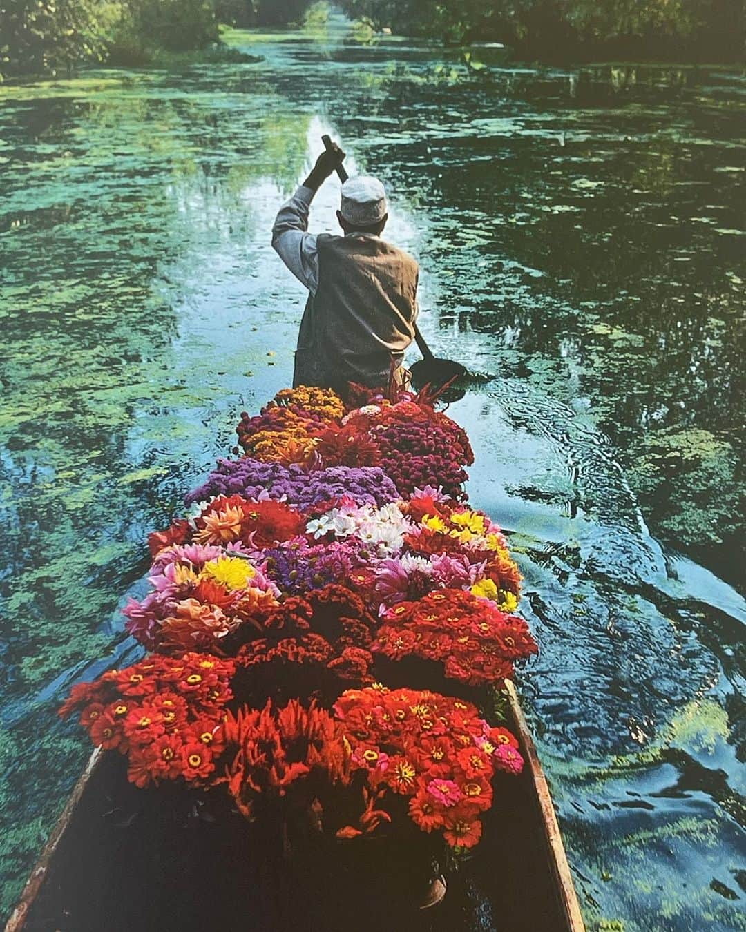 のインスタグラム：「What do @stevemccurryofficial, @anneLeibovitz  @mario_sorrenti @joel_meyerowitz @jr & myself have in common, besides being photographers? We have all had books published by @phaidonpress & are included in the Phaidon’s new book, 100 Years of Creativity. Wow a 100 years, amazing that a publisher can be around that long and continue to publish the most beautiful art & photo books in the industry. As a personal point I need to thank, Deb Aaronson VP  for the publishing group for shepherding my book #EvolutionAVisualRecord into reality & thank you to @stevemccurryofficial for the introduction to Deb, your a good freind.」