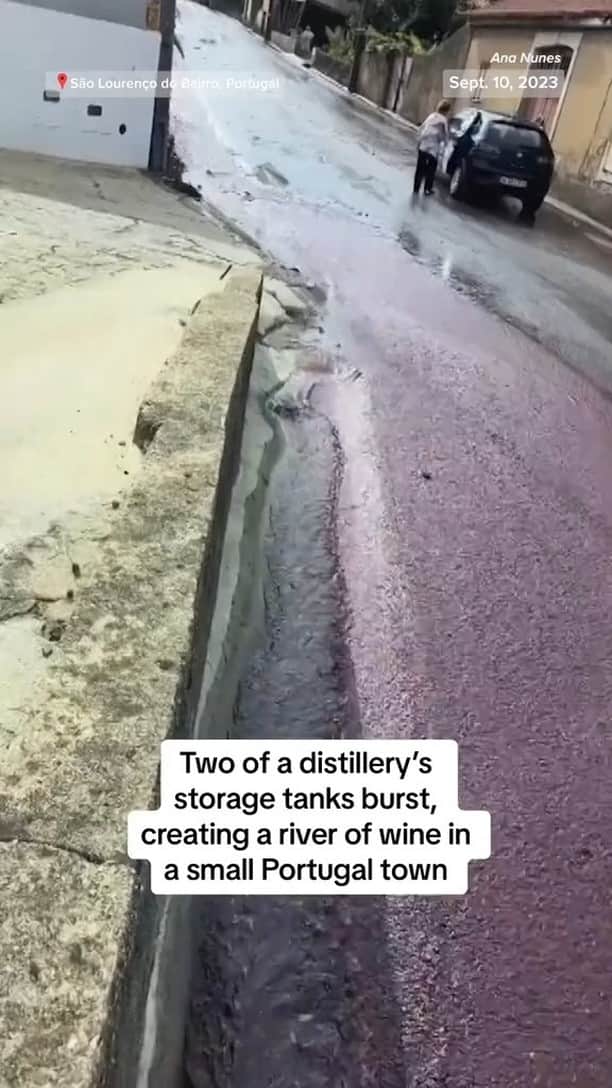 NBC Newsのインスタグラム：「A distillery apologized to neighbors after two of its storage tanks burst, creating a river of wine that flowed through the streets of a small town in Portugal.」