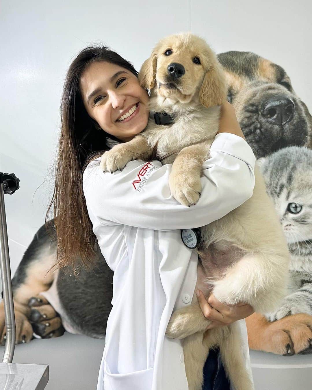 Bobのインスタグラム：「E hoje foi a primeira consulta do João  com a Dra. @vet.luanaafonso no @hospitalvetpaesdebarros  Tomou vacina e nem chorou 🥰」