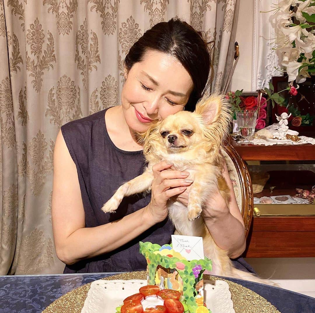 Atsukoさんのインスタグラム写真 - (AtsukoInstagram)「ノアちゃん🐶💛10歳💛  happy birthday✨✨  ママ一生懸命、 野菜ケーキ作ったよ🎂♡  すっかり投稿できずに 過ごしておりました✨が、、、  忙しくするのは卒業しました^_^笑  今までは仕事のウエイトが 大きい生活でしたが、  大きく価値観が変わり  大切な家族や仲間と過ごす時間を 今までより優先に、そしてより大切にするようになりました♡  Instagramは 私にとって日記のような存在  強制して投稿するものではなく 日記を書きたいなぁと思った時に投稿しています✨✨  最近、ふと感じたことを 綴ります✨  本当に価値のあるものは 目に見えないもの  目に見えるものに左右されるのではなく、見えない部分を心で感じて心にどうしたいか聞いて判断していく生き方にシフト✨✨  そうすると自然と 自分にとって価値のあるものを選択できるようになったよ  やりたくないことはやらない笑  会いたくない人とは距離を置く  いやなことははっきり嫌という  十分体を休める  一緒にいたい人と過ごす  今まではこれが 自分のわがままと思っていた  今のお仕事を始めて 様々な価値観が変わり、  本当に歩みたい 自分の人生の後半の 未来予想図が見えてきたよ✨  ノアちゃん💛ミヤクン💛  これからはもっともっと たくさん一緒に過ごそうね✨  もっともっと嬉しいをたくさん 共有してこれからも一緒に暮そうね✨✨✨  大好きだよ❤️ ノアちゃん👸🐶  おめでとう🎊🎈🎉  ノアちゃん10歳まで一緒に過ごしてくれてありがとう💛  #愛犬 #手作りご飯ワンコ  #バースデイ #手作り野菜ケーキ #お祝い #うちの子になってくれてありがとう #大好きだよ #大切な存在 #かけがえのないひととき」9月13日 8時44分 - atsuko__kawashima_