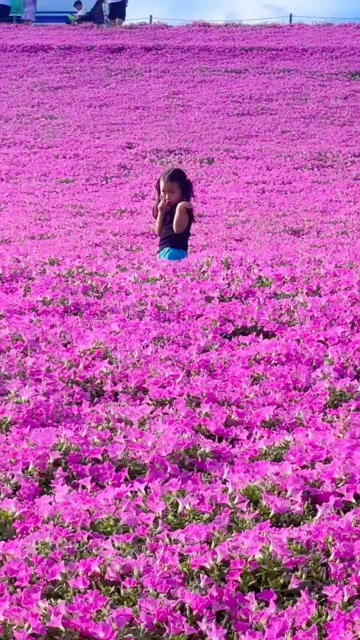 来夏のインスタグラム：「#💗 何かのスイッチが入った様子🤣📸🎶  おかげで毎日ファニー🥳 そのまんまの君が好きだぜぃ🌞💓  #love #娘 #3歳」