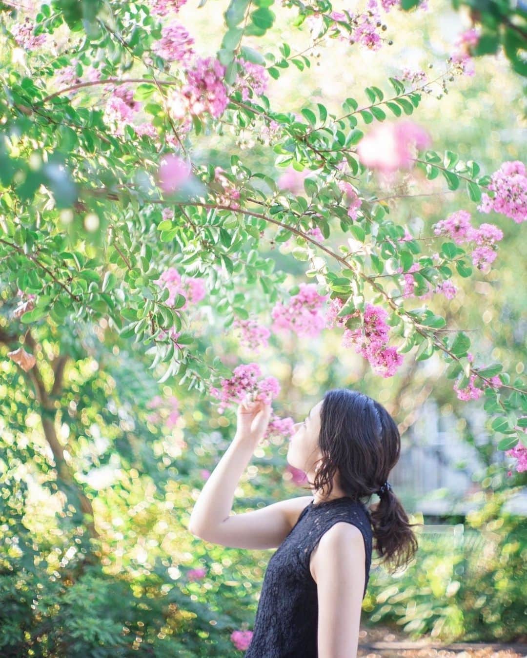Sherryのインスタグラム：「ㅤㅤㅤㅤㅤㅤㅤㅤㅤㅤㅤㅤㅤ ㅤㅤㅤㅤㅤㅤㅤㅤㅤㅤㅤㅤㅤ さるすべりの花 ㅤㅤㅤㅤㅤㅤㅤㅤㅤㅤㅤㅤㅤ ㅤㅤㅤㅤㅤㅤㅤㅤㅤㅤㅤㅤㅤ」