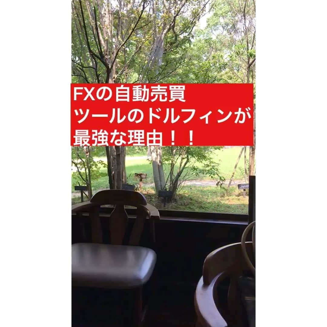 Masahiroのインスタグラム：「今回は【FXドルフィンが凄い理由】についてです。  参考になったら「いいね！」「コメント」「フォロー」して頂けると嬉しいです。  プロフの公式LINEを追加すると、FX自動売買システムを無料で配布してます。 その他にも「永続的に入り続ける収入」を作る方法等発信していますので、詳しくはプロフを確認ください！ #ビジネス#副業#アフィリエイト#アフィリエイター#SNS集客#インスタグラマー#ネットビジネス」