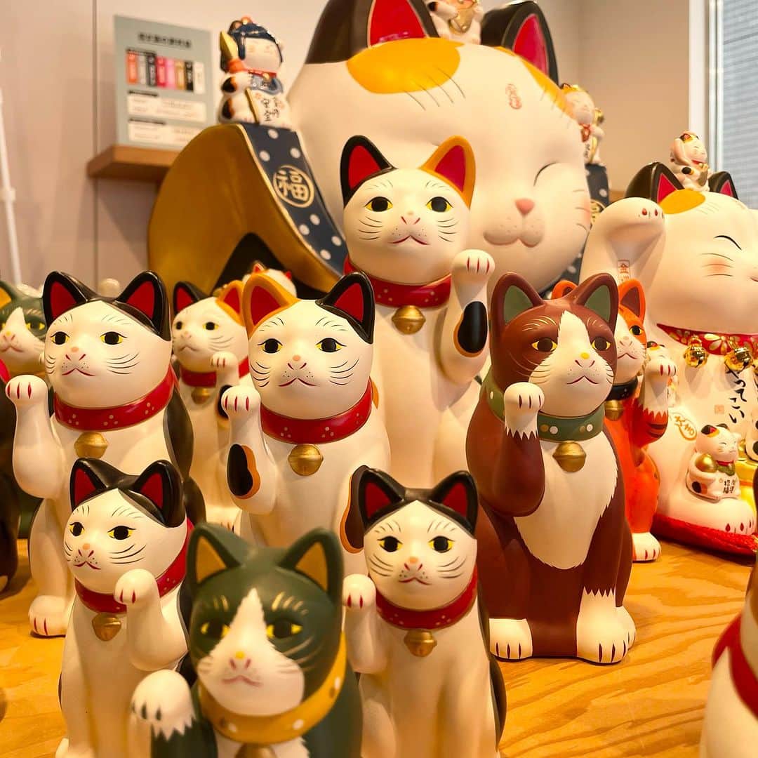 BEAMS JAPANさんのインスタグラム写真 - (BEAMS JAPANInstagram)「＜〈中外陶園〉の招き猫が大集合！「来る福招き猫まつり 2023」を開催＞  オープン当初から独特のフォルムと 可愛らしい表情でロングセラーとなっている 『中外陶園の招き猫』シリーズ。   前回大盛況だった『中外陶園の招き猫』を 一斉に集めたモアバリエーションを 今年も「ビームス ジャパン 新宿」 「ビームス ジャパン 京都」にて開催します。   イベントに合わせ 〈中外陶園 × ビームス ジャパン〉が コラボレーションした手乗りサイズの 『ちいさな招き猫』カプセルトイも発売します。   招き猫の招く手は人や幸運、 お金を”招く”と言われています。   お気に入りの招き猫とともに、 暮らしにたくさん”福”が招かれますように。  ーーーーーーーーーーーーーーーーーーーーーー  【ノベルティ】  ※イベント商品含むBEAMS JAPAN店舗での ご購入￥3,300(税込) 以上の方を対象に差し上げます。  ※ビームス ジャパン新宿は1階フロアにて お会計されたお客様が対象となります。  ※ノベルティは無くなり次第、終了となります。  【開催期間】 2023年9月13日（水）〜10月17日（火）  【開催店舗】 ビームス ジャパン（新宿1F）  ※お問い合わせは DM、又はお電話にて承っております。  ●お問い合わせ電話番号　 BEAMS JAPAN 1F ☎︎ 03-5368-7314  ーーーーーーーーーーーーーーーーーーーーーー  #beams  #beamsjapan  #beamsjapan1st  #ビームス #ビームスジャパン #日本製 #madeinjapan #日本の銘品 #中外陶園 #招き猫 #招き猫祭り #瀬戸まねき猫」9月13日 17時16分 - beams_japan