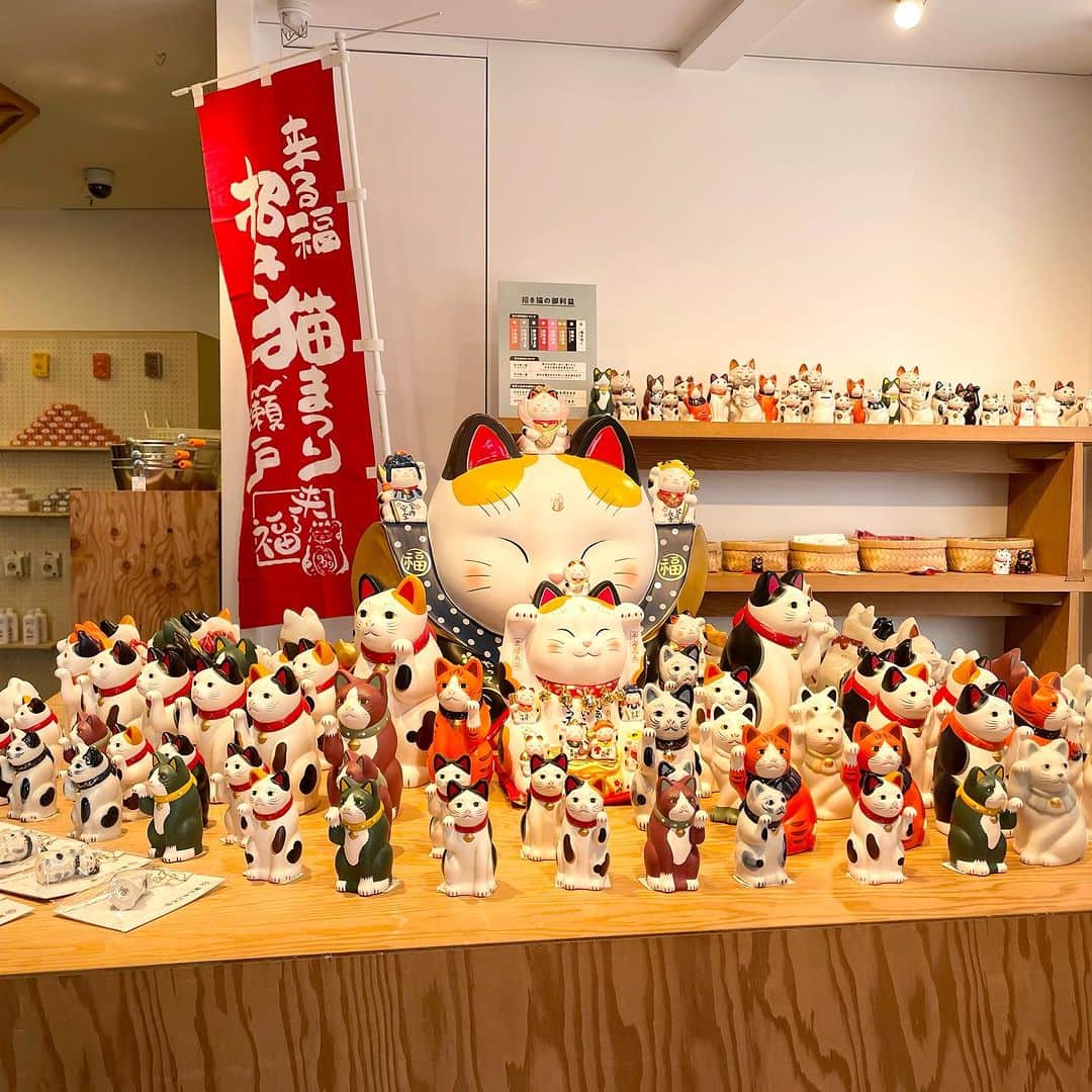 BEAMS JAPANさんのインスタグラム写真 - (BEAMS JAPANInstagram)「＜〈中外陶園〉の招き猫が大集合！「来る福招き猫まつり 2023」を開催＞  オープン当初から独特のフォルムと 可愛らしい表情でロングセラーとなっている 『中外陶園の招き猫』シリーズ。   前回大盛況だった『中外陶園の招き猫』を 一斉に集めたモアバリエーションを 今年も「ビームス ジャパン 新宿」 「ビームス ジャパン 京都」にて開催します。   イベントに合わせ 〈中外陶園 × ビームス ジャパン〉が コラボレーションした手乗りサイズの 『ちいさな招き猫』カプセルトイも発売します。   招き猫の招く手は人や幸運、 お金を”招く”と言われています。   お気に入りの招き猫とともに、 暮らしにたくさん”福”が招かれますように。  ーーーーーーーーーーーーーーーーーーーーーー  【ノベルティ】  ※イベント商品含むBEAMS JAPAN店舗での ご購入￥3,300(税込) 以上の方を対象に差し上げます。  ※ビームス ジャパン新宿は1階フロアにて お会計されたお客様が対象となります。  ※ノベルティは無くなり次第、終了となります。  【開催期間】 2023年9月13日（水）〜10月17日（火）  【開催店舗】 ビームス ジャパン（新宿1F）  ※お問い合わせは DM、又はお電話にて承っております。  ●お問い合わせ電話番号　 BEAMS JAPAN 1F ☎︎ 03-5368-7314  ーーーーーーーーーーーーーーーーーーーーーー  #beams  #beamsjapan  #beamsjapan1st  #ビームス #ビームスジャパン #日本製 #madeinjapan #日本の銘品 #中外陶園 #招き猫 #招き猫祭り #瀬戸まねき猫」9月13日 17時15分 - beams_japan
