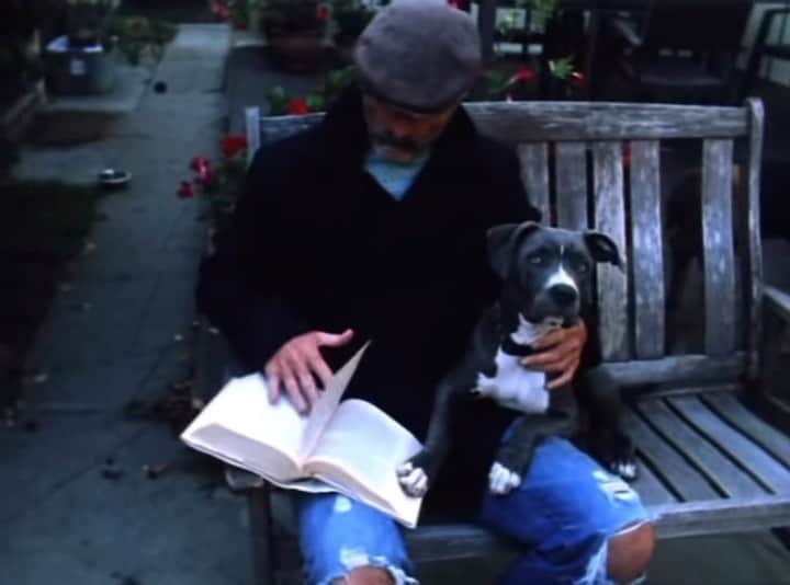 ティモシー・V・マーフィーのインスタグラム：「I had to put G down this weekend.We had been the best of friends for about 13 years.This is one of the earliest videos of her.Such a great dog.I did this video with a friend of mine from Argentina,Enzo Bueno for his brothers band at the time.Lots of love to Enzo and Shiva for the video and lots of love for G ,my amazing,gentle pit bull  #pittbull @lospinguos #lapoeta @enzo9buono @shivaghodsi ...adios amigo😍😍😍side story,Sean ,my son asked me who the boy in the video was.I told him it would have been him but he wasn't born yet.He asked me what I was writing and I told him I was writing a wish down that I would have a son.Then he asked me why I looked sad in the video and I told him because he hadn't arrived yet.He smiled.🥲🥲🥲😍😍😍」