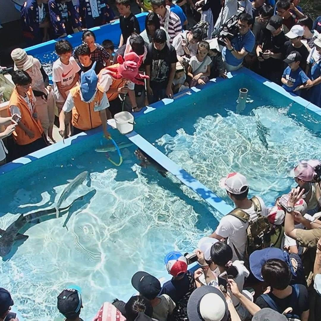 南海放送さんのインスタグラム写真 - (南海放送Instagram)「🏖🐟🏖🐟🏖🐟  \メディアまつり2023/ SDGsドキュメンタリー上映会  南海放送制作 瀬戸内海を舞台にした ドキュメンタリー番組で 環境問題について考えてみませんか❓  【上映作品】 「ハイスクールは水族館!!～第3土曜日のしあわせ～」 「豊穣の海～ゴミ浜とゴミバカ～」  事前申込制です‼️ 詳細・お申込みは南海放送HPをご覧ください👀  #青木美奈実アナウンサー #青木美奈実 #南海放送 #RNB #ドキュメンタリー #メディアまつり」9月13日 12時00分 - nankaihoso_rnb