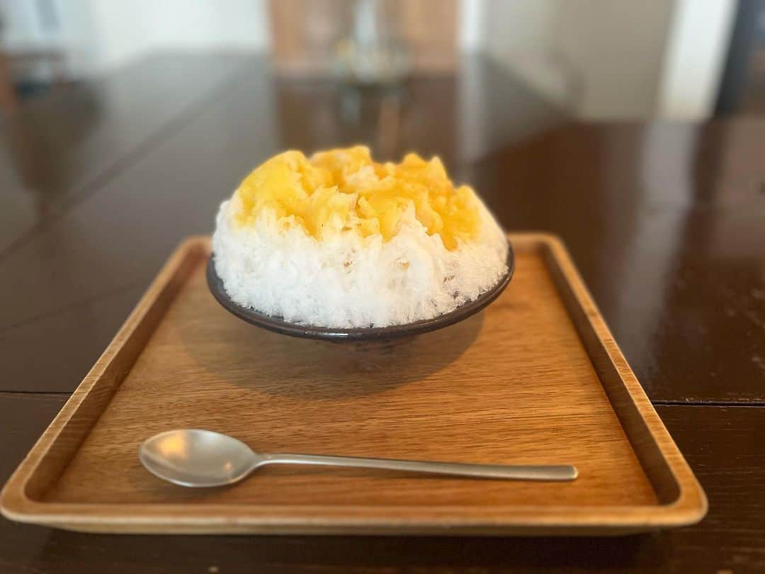 原田麻子のインスタグラム：「ポポーとキウイフルーツ  ポポーはマンゴーとバナナを足したような味のフルーツ。こちらで以前いただいた時においしくて。  キウイと合わせると程よい酸味が足されて食べやすくフルーティー。  #かき氷#かき氷🍧#おやつ#ごはん#sweets#shaveice#東京かき氷」