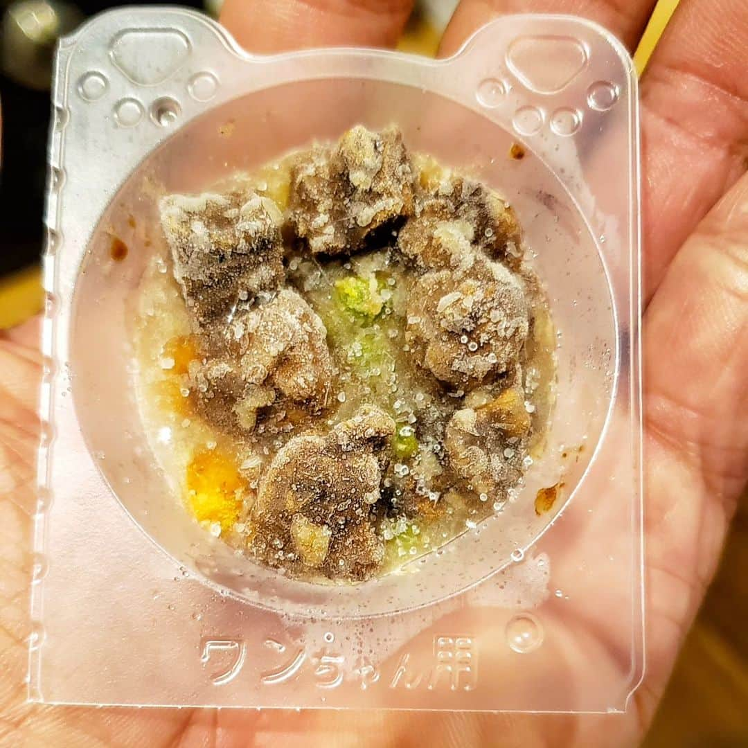 剛王さんのインスタグラム写真 - (剛王Instagram)「冷凍食品の大手ニッスイより獣医師監修のワンちゃん用冷凍ペットフード PAWSOME DELI(ポウサムデリ) @petfood_pawsomedeli ●牛肉サイコロステーキ 　彩り野菜添え ●豚肉と野菜のソテー 　さつまいも入り ●鶏ささみのシチュー風 　彩り野菜添え ●まぐろと彩り野菜のソテー 　チーズのせ どれも美味しそうなメニューで6カップ入りと4カップ入りがあってどれもこだわりの食材を使ってるからこてつも大喜び。 こてつはペロッと。 これは忙しいときやちょっと贅沢させたいときにもええかも。 完全にリピート商品間違いなし。  ---------------------------------------------------------------------------------------------------- 特長 プロ×プロの商品開発 ペットフードの開発経験が豊富な獣医師による監修 ニッスイの冷凍食品開発・生産・品質管理の技術を余すところなく活用  美味しさのためのこだわり  お肉やお魚のうまみをそのまま楽しめる贅沢な一品、獣医師がおすすめするワンちゃんが好きなお野菜を組み合わせ作ったらすぐ冷凍、手作りごはんのようなフレッシュさを実現。  食べやすさのためのこだわり  小さいお口のワンちゃんも食べやすいよう、お肉やお魚は特注のカット とろみがついているので、混ぜていつものドライフードも美味しくワンちゃんの元気を応援。 冷凍食品だから、素材そのものの栄養が摂れるEPA＋DHAを含む魚油とシャンピニオンエキスを配合 五感で味わってほしいからお肉とお野菜を別々に調理するなど、素材が活きる調理法 人の手で丁寧にカップ詰めするので、食材ごとの食感を楽しめる。  ワンちゃんの意見を商品に  色々な犬種のたくさんのワンちゃんが味見に協力 食べっぷりの良い上位4つのメニューを商品化 ヒューマングレードな品質管理 ニッスイ認定の食品工場で調理し、官能検査も人間が実施  素材はすべて人のごはんと同じで、安全性をきちんと調査  生産から商品の保管や配送まで人のごはんと同じ品質管理 ワンちゃんの健康にも配慮  レシピはすべて獣医師監修  調味料は製造工程で添加しておらず、素材そのものの栄養が摂れる ペットフードによく使われる香料は無添加、素材の香りを楽しめる 冷凍だから保存料、酸化防止剤を使わずに美味しさをキープ、使いやすさのための こだわり ちょこっとサイズが6カップ入りで、使いたい分だけすぐに使える レンジでチンするだけで、手作り級の美味しいごはんが出来上がり必要な分だけ使えるので、フードロスも防げる  楽しいごはんタイムを応援まるで食品のような見た目で目にもおいしい ワンちゃんの耳が可愛い！PAWSOME DELI［ポウサムデリ］特注のトレー  PR @petfood_pawsomedeli #ポウサムデリ #PAWSOMEDELI #ニッスイ #犬ご飯 #犬の健康 #ドッグフード選び #ペットフード  ----------------------------------------------------------------------------------------------------  ニッスイやから安全安心信用のある商品です。  #フレンチブルドッグ #フレブル」9月13日 12時43分 - gooh2010