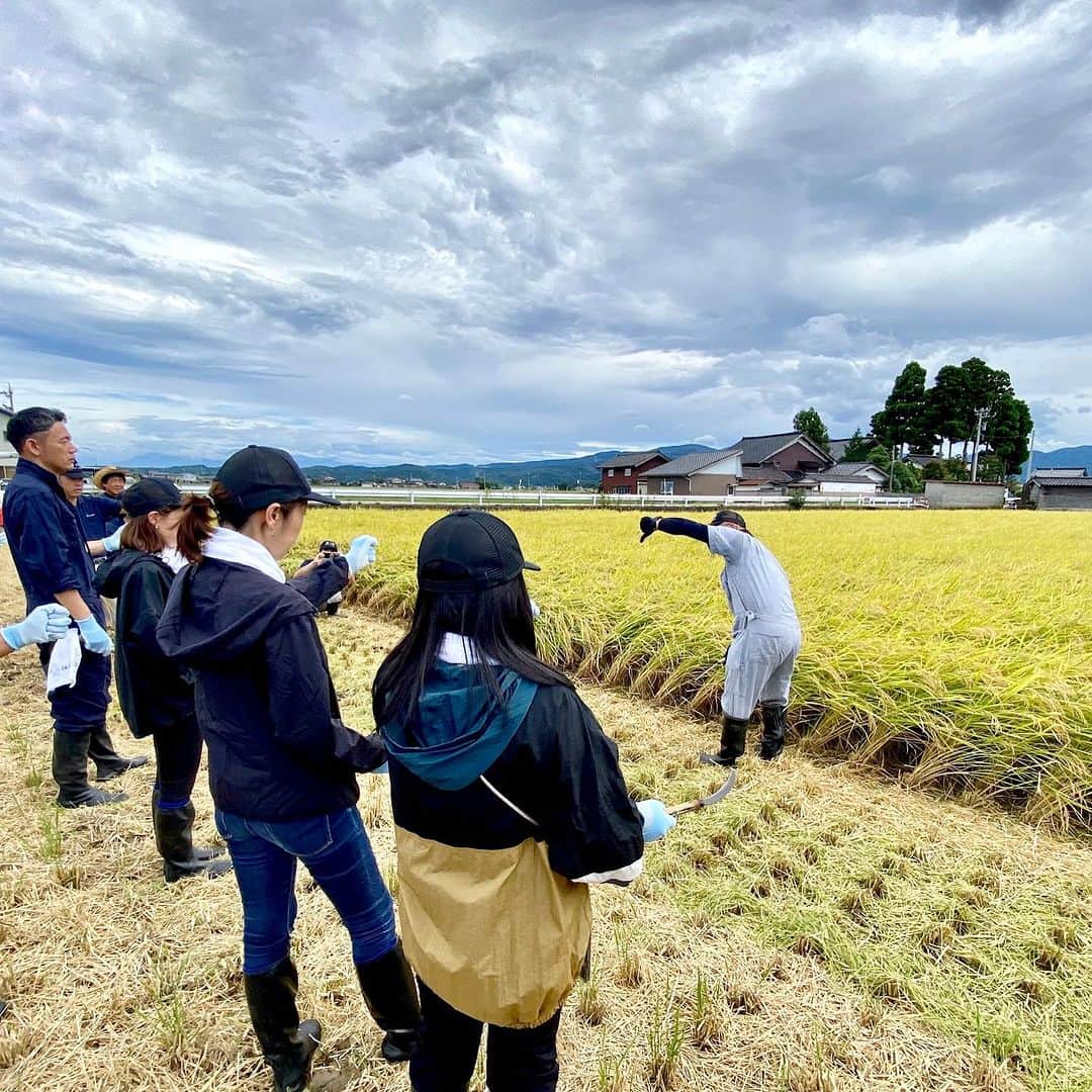 スープストックトーキョー 公式さんのインスタグラム写真 - (スープストックトーキョー 公式Instagram)「「Soup Stock Tokyoの白胡麻ご飯がおいしいひみつ」   Soup Stock Tokyoのお米の産地は、富山県砺波(となみ)市。顔の見える生産者さんとの米づくりにこだわっています。今週、再度訪問し、5月に田植えした稲の刈り取りをとなみ野農協さん、生産者の皆さんとともにに行なってきました。   雪深く、山に囲まれた富山県砺波市は、雪解け水が豊富で、ふっくらつやつやとして甘みのある、良質なお米がとれる地域。この恵まれた気候と、あたたかい人柄の生産者さんのもと、Soup Stock Tokyoのお米は作られています。  Soup Stock Tokyoの白胡麻ご飯がおいしいのは、日々の作り手の丹精があるから。私たちは田植えと稲刈りの時期にお手伝いに伺っていますが、収穫までを日々見てくださっている生産者さんには頭が下がる思いです。感謝の気持ちを忘れずに、これからもお客さまにお届けしてまいります。  また毎年秋には各店舗で新米を使って白胡麻ご飯を炊き上げています。新米をご提供できる時期がきましたらお知らせいたします。🌾  #soupstocktokyo#スープストックトーキョー#スープストック#お米#米作り#産地#お米の産地#富山県砺波市」9月13日 12時54分 - soupstocktokyo