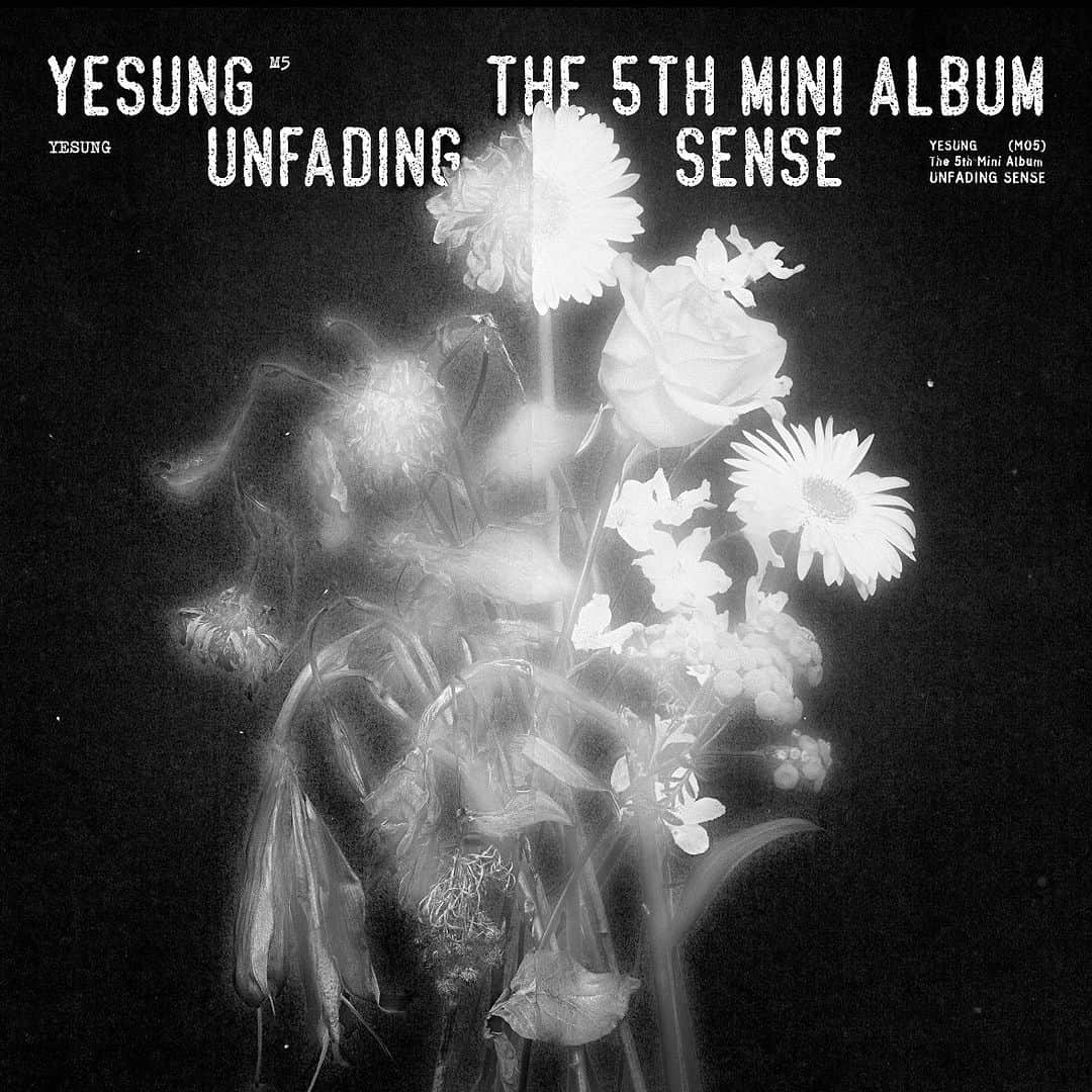 イェソンのインスタグラム：「The end and beginning of the senses. @yesung_smtown   ➫ 2023.10.04 6PM (KST)  #Unfading_Sense」