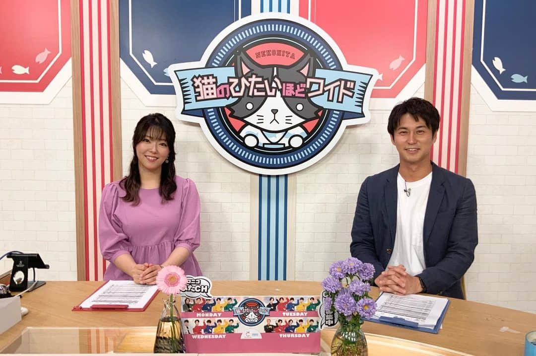 猫のひたいほどワイドさんのインスタグラム写真 - (猫のひたいほどワイドInstagram)「生放送ご覧いただきましてありがとうございました🐱✨ #猫ひた #水曜日 #道じゅねー」9月13日 13時46分 - nekohita_tvk