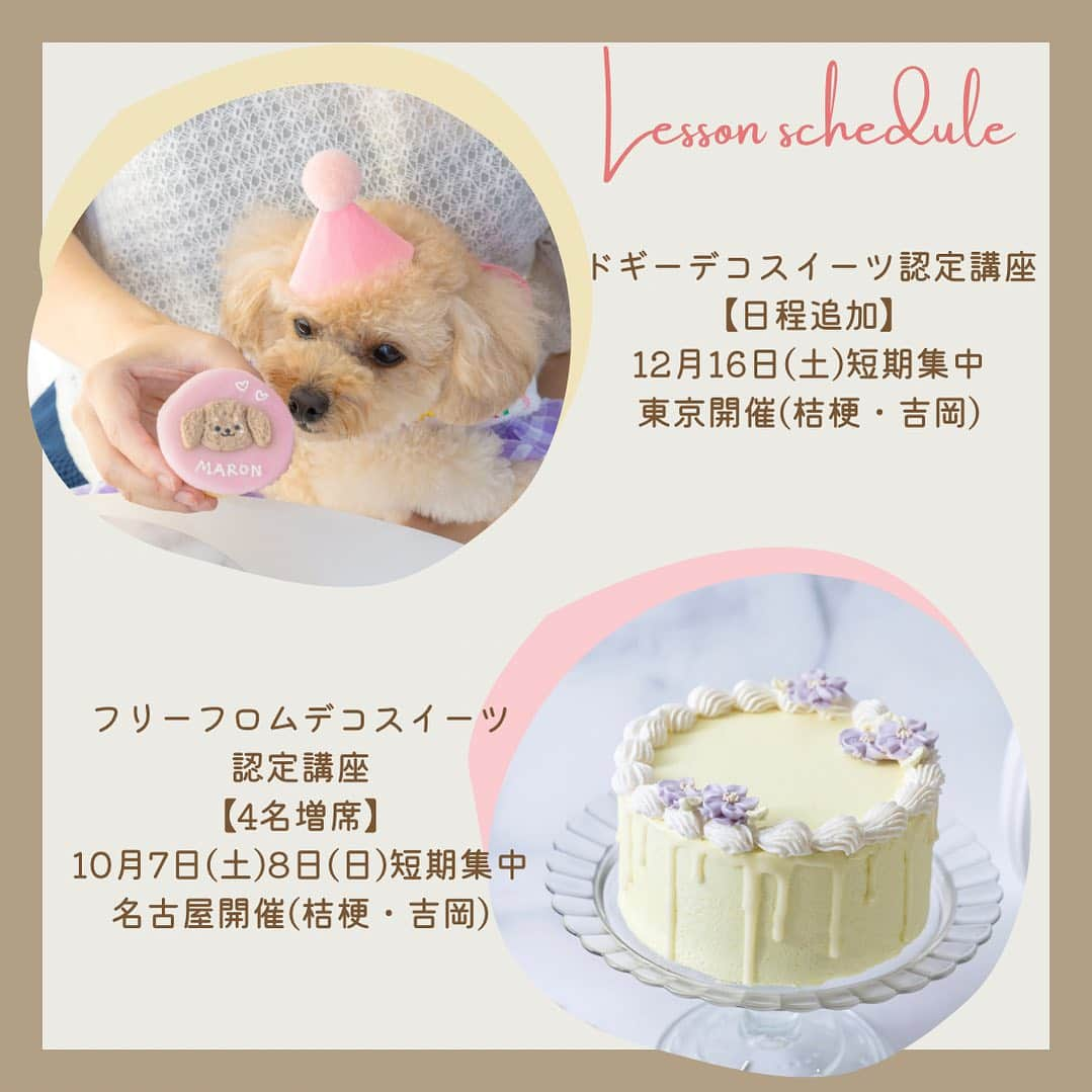 日本サロネーゼ協会さんのインスタグラム写真 - (日本サロネーゼ協会Instagram)「🧁レッスン追加のご案内🐶  大変ご好評いただいております、 『ドギーデコスイーツ認定講座™️🐶』と『フリーフロムデコスイーツ™️🍰』のレッスンを追加いたしました✨  ◎ドギーデコスイーツ認定講座™️ 東京開催(桔梗・吉岡) 12月16日(土)短期集中 レッスン追加いたしました🐶✨  ◎フリーフロムデコスイーツ認定講座™️ 名古屋開催(桔梗・吉岡) 10月7日(土)8日(日)短期集中 4名増席いたしました✨‼️  フリーフロムデコスイーツ認定講座™️の受講料10％オフは、 9/30までのご予約・ご入金が対象となっております。  ぜひこの機会に、ご検討くださいませ。  ご予約はこちら💁‍♀️ https://web.star7.jp/reserve_new/mobile_yoyaku_101.php?p=82070c7275  #ドギーデコスイーツ認定講座  #ドギーデコスイーツ #日本サロネーゼ協会 #ヴィーガンスイーツ #ヘルシースイーツ #犬用ケーキ #エッグフリーケーキ  #グルテンフリー #グルテンフリースイーツ」9月13日 14時02分 - japan.salonaise.association