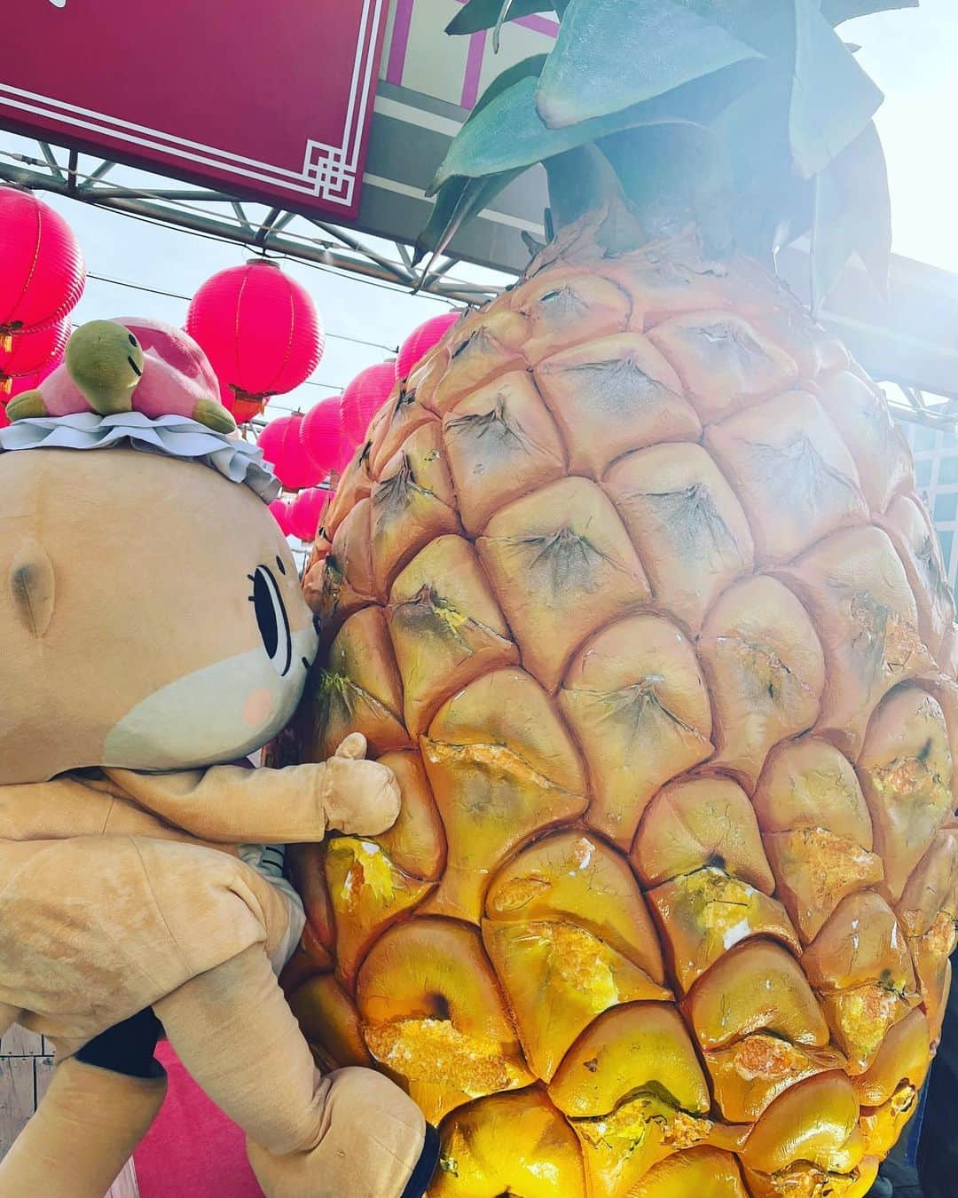 ちぃたん☆さんのインスタグラム写真 - (ちぃたん☆Instagram)「パイナッポー捕獲ですっ☆ちぃたん☆ですっ☆  I harvested pineapple. #収穫 #ゆるキャラ #ちぃたん」9月13日 14時11分 - chiitan7407