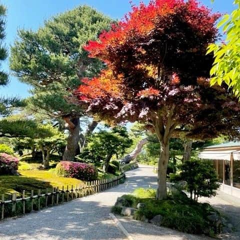 夏井いつきのインスタグラム：「【小さな俳句の種まき　挑戦するぞ！　猪子石ニンニンの巻】  挑戦の結果は、次へのブラッシュアップのヒントになります。 報告待ってるよ♪  猪子石ニンニンのお便り……続きはblogでね。 http://itsuki.natsui-company.com/?eid=6970#gsc.tab=0」