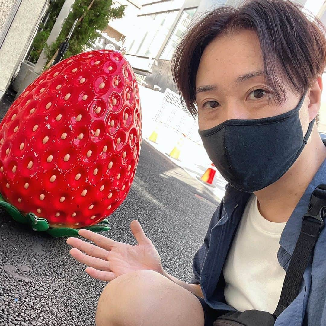 あつひろのインスタグラム：「なんか落ちてた  #🍓」