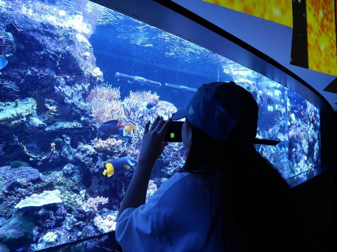 平井桃伽さんのインスタグラム写真 - (平井桃伽Instagram)「たまにはプライベートの写真も😙 水族館が大好きなのです♪ いっちゃんがさそってくれて、行ってきました♡  私もカメラ欲しくなっちゃったぁぁ😆いっちゃんがすてきな写真たくさん撮ってくれてたからみなさんにもお裾分け♡  #アクアパーク品川 #아크아리움」9月14日 1時48分 - momoka.0824