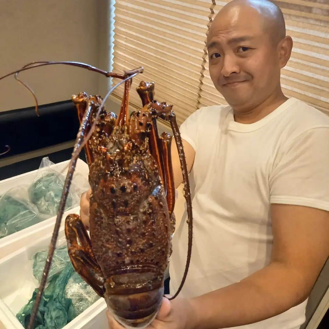 ぢゃいこさんのインスタグラム写真 - (ぢゃいこInstagram)「🦞🦞🦞 高知で漁業をしてる弟から『伊勢海老いるか？』の連絡が。んなもん、いるに決まってるよね⁉️欲しいに決まってるよね⁉️ そしたら、その数日後…とんでもないのが来ました👏✨ 伊勢海老７尾＆マグロ２柵🦞🦞🦞🦞🦞🦞🦞🐟️🐟️ めちゃくちゃデカイ！重い！ さすがにこの量を一人では無理なので、割烹料理屋の友達のとこへ✨ 私は伊勢海老一尾とマグロ２柵で大満足🙌 伊勢海老ほぼ一尾のお味噌汁と、伊勢海老＆マグロのお造り盛り✨ 弟のお陰で次の日の昼ぢゃい飯が超豪華で贅沢で最＆高に!!!!!! 弟よ、ありがとう。 #伊勢海老  #伊勢海老の味噌汁 #伊勢海老の刺身 #伊勢海老の造り #ぢゃいこ #吉本新喜劇ぢゃいこ #吉本新喜劇」9月13日 17時20分 - dyaimeshi