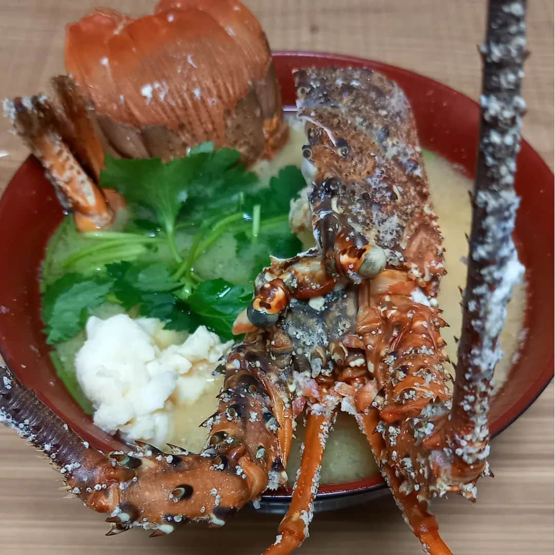 ぢゃいこさんのインスタグラム写真 - (ぢゃいこInstagram)「🦞🦞🦞 高知で漁業をしてる弟から『伊勢海老いるか？』の連絡が。んなもん、いるに決まってるよね⁉️欲しいに決まってるよね⁉️ そしたら、その数日後…とんでもないのが来ました👏✨ 伊勢海老７尾＆マグロ２柵🦞🦞🦞🦞🦞🦞🦞🐟️🐟️ めちゃくちゃデカイ！重い！ さすがにこの量を一人では無理なので、割烹料理屋の友達のとこへ✨ 私は伊勢海老一尾とマグロ２柵で大満足🙌 伊勢海老ほぼ一尾のお味噌汁と、伊勢海老＆マグロのお造り盛り✨ 弟のお陰で次の日の昼ぢゃい飯が超豪華で贅沢で最＆高に!!!!!! 弟よ、ありがとう。 #伊勢海老  #伊勢海老の味噌汁 #伊勢海老の刺身 #伊勢海老の造り #ぢゃいこ #吉本新喜劇ぢゃいこ #吉本新喜劇」9月13日 17時20分 - dyaimeshi