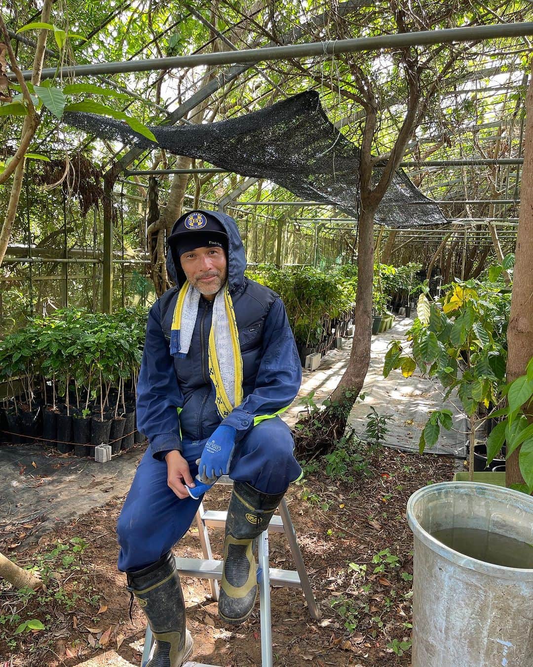 高原直泰のインスタグラム：「作業終了。 畑に移し替えた苗木は葉がいい感じです。  大宜味で育てるコーヒーは台風6号によって葉がもってかれてしまいました。 これから復活させます。 #コーヒーを育てる #コーヒーを楽しむ  #コーヒーのある暮らし  #コーヒー好きな人と繋がりたい  #沖縄コーヒー  #okinawacoffee  #okinawalife」
