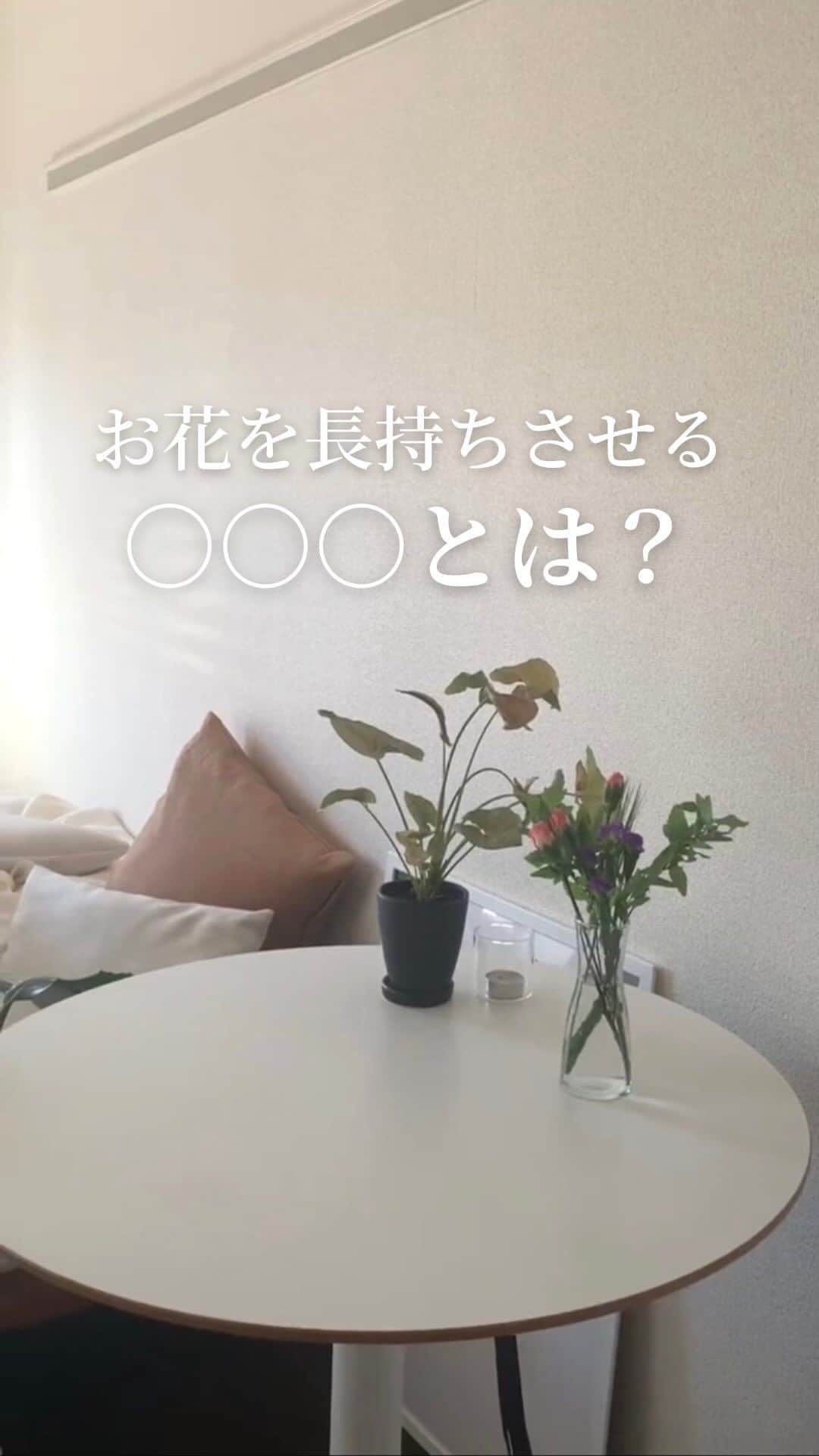 Bloomee LIFEのインスタグラム：「． お花を長持ちさせる○○○とは？   お花が届いたらお水の入った花瓶に “栄養剤”を入れること！   栄養剤には… ✅水あげをよくする成分 ✅美しく咲き続ける栄養分 が入っております！   お花の乾燥を防ぎ、 ハリツヤを長く保つ効果があるので 忘れずに入れてくださいね✨   ーーーーーーーーーーーーーーーー   お花が届いたら『 #ブルーミー 』 をつけて投稿してみてください📸   ほかの投稿は @bloomee でチェック👀🌹   #bloomee #お花の定期便 #お花のサブスク #花部 #花写真 #花を楽しむ #花が好き #花好きな人と繋がりたい  #お花のある暮らし #花のある生活 #花のある生活が好き #花を飾る  #暮らしを楽しむ #丁寧な暮らし #豊かな暮らし #インテリアフラワー #フラワーインテリア #ナチュラルインテリア #お花の栄養剤 #お花長持ち #お花の管理 #お花の管理方法」