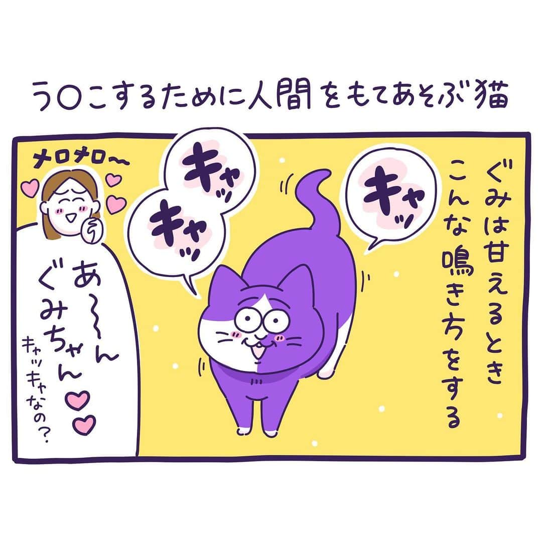 澤村 花菜のインスタグラム：「「あとちょっと食べれば出るから〜！」の意のキャッキャ☺️💕  #ぐみごまのまんが  #猫まんが #コミックエッセイ #イラスト #さびねこらぶ」