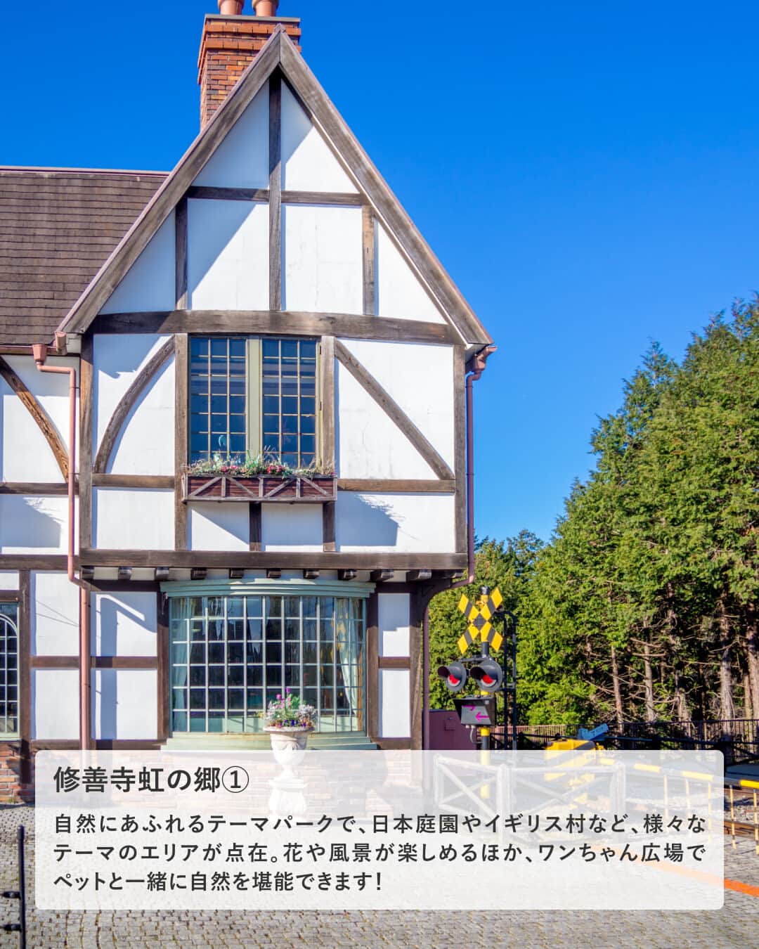 楽天トラベル さんのインスタグラム写真 - (楽天トラベル Instagram)「投稿を保存して見返してね😊 毎日おすすめの観光スポットやホテルを紹介している 楽天トラベル💚 👉@rakutentravel  ーーーーーーーーーーーーー  本日は、東京から電車で約2時間の静岡県伊豆市「修善寺」を紹介します💕 自然豊かな修善寺の土地ならではの美しい情景で季節問わず人気の観光地です☺ 今年の秋旅行の候補に入れてみてはいかがですか…？💕👜  ーーーーーーーーーーーーー  1　#竹林の小径 2　#修善寺自然公園 #もみじ林 3　#修禅寺 4　#修善寺虹の郷 5　#恋の橋めぐり 6　#筥湯  ーーーーーーーーーーーーー  #rakutentravel をつけて投稿してくだされば、 あなたの撮った写真が楽天トラベルアカウントに掲載されるかも👀  旅の計画に夢中になれるインスタマガジン👜 楽天トラベルをフォローして理想の旅をみつけてね🛫@rakutentravel  いってみたいと思った人は気軽にコメント欄にスタンプ送ってね💕  ーーーーーーーーーーーーー」9月13日 18時05分 - rakutentravel