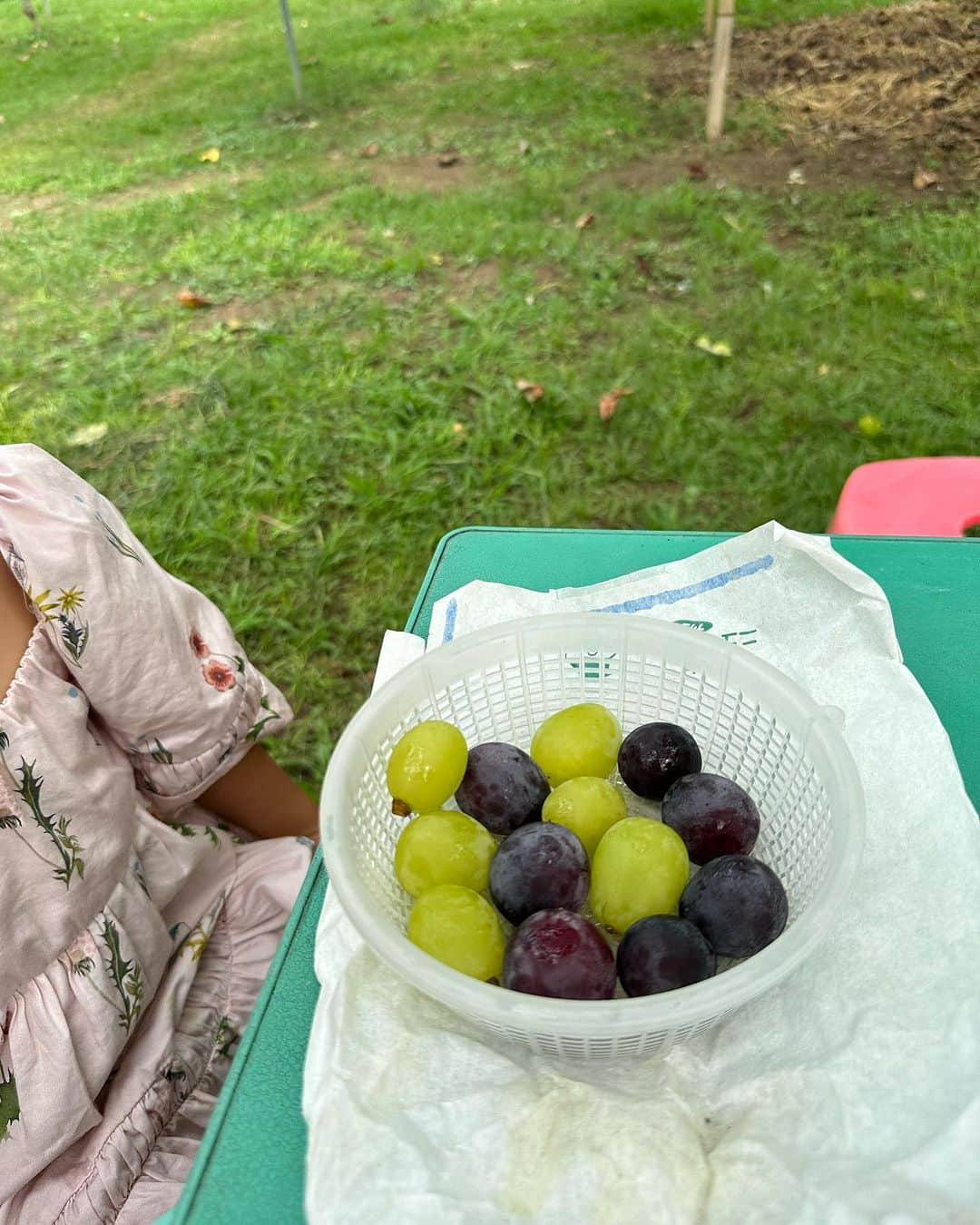 篠田麻里子さんのインスタグラム写真 - (篠田麻里子Instagram)「ぶどう農園🍇でぶどう狩り✨  梨狩りも🍐  #ぶどう狩り#伊万里」9月13日 18時26分 - shinodamariko3