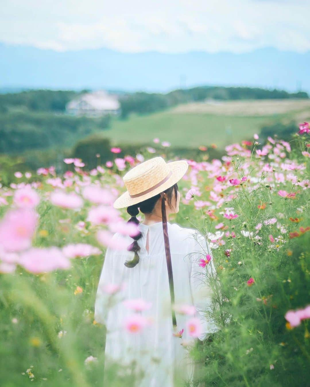 yukiのインスタグラム：「・ #コスモス #秋桜  #僕らが見ている風景 __________________________ 日々の撮影記事やコラム更新中！ ・・・・・・・・・・・・・・・ ◉FAN限定サイト◉ https://www.fansnet.jp/sty830 __________________________」