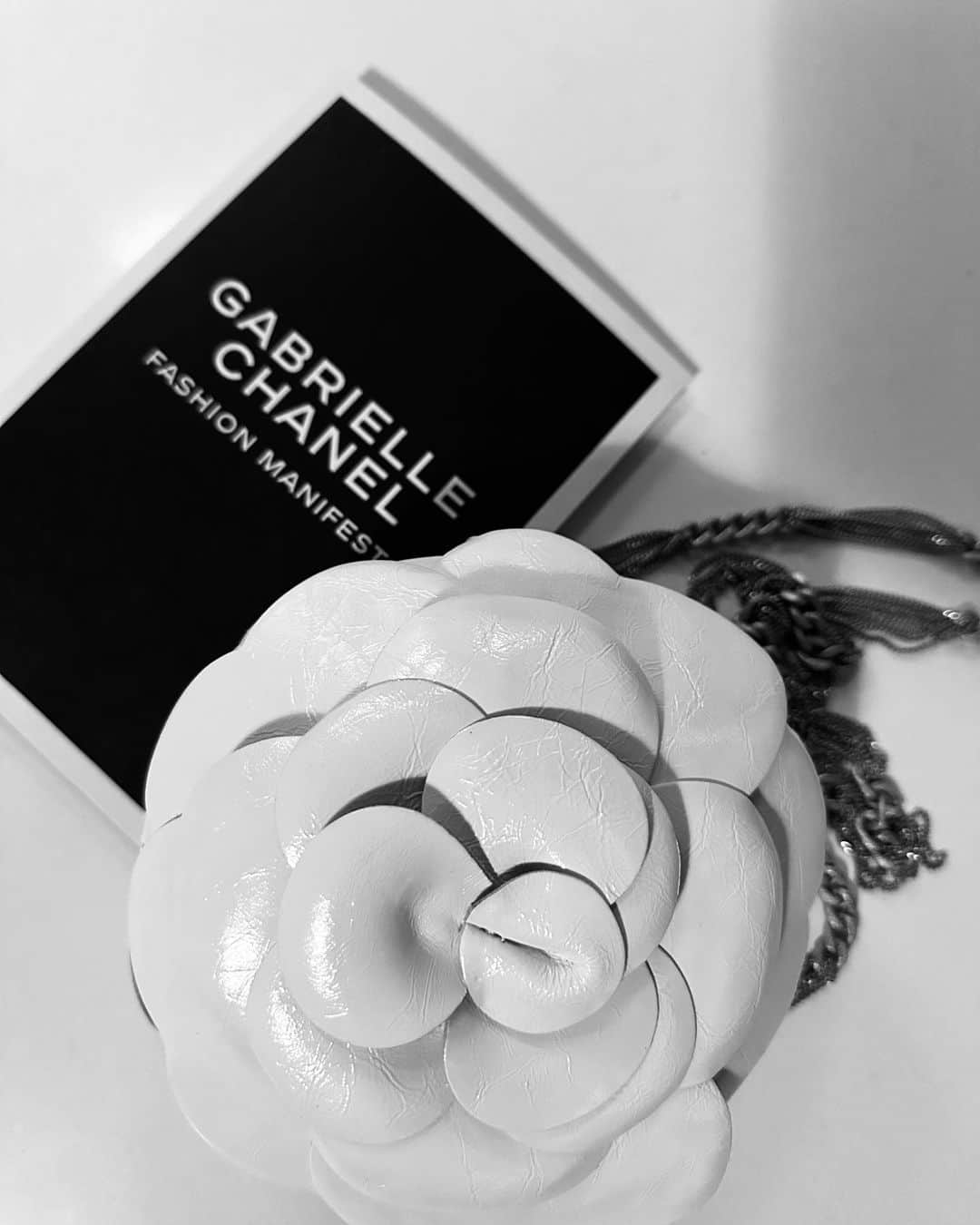 ローラ・ベイリーさんのインスタグラム写真 - (ローラ・ベイリーInstagram)「Last night celebrating~   Gabrielle Chanel |  Fashion Manifesto  An extraordinary show.  & lucky Table 5 ..  @vamuseum  @chanelofficial  @palaisgallieramuseedelamode   Love & thanks ~ @chanelofficial  @chanel.beauty  @joallison1  @juliedorff  @sanazgvl  @zoetaylormakeup  @sharonrobinsonhair  @joshwood   🤍」9月13日 18時40分 - laurabaileylondon