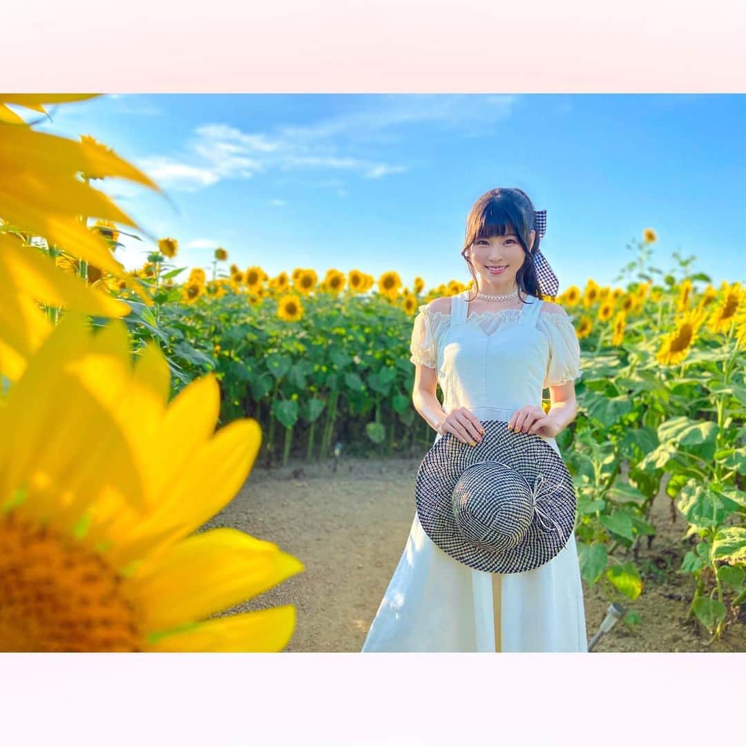 長柄ひろみのインスタグラム：「#sunflowers 🌻🌈  ひまわりを懐かしむ🌻  青空とひまわりの組み合わせも好きだけど、夕焼けとひまわりも綺麗で好き〜🥰🌻🌇  月とひまわりも一枚だけ撮れました☺️🌕🌻  やっぱり向日葵を見ると元気がでます🥰🙌🏻💗  先週は今更ながら少し夏バテ気味だったんですが、皆さんは大丈夫ですか？？ もう9月だから夏バテじゃなくて秋バテ🤔？  ｡・ﾟ・。❁⃘ ｡・ﾟ・。❁⃘ ｡・ﾟ・。❁⃘ ｡・ﾟ・｡❁⃘ 。・ﾟ・  #ひまわり」