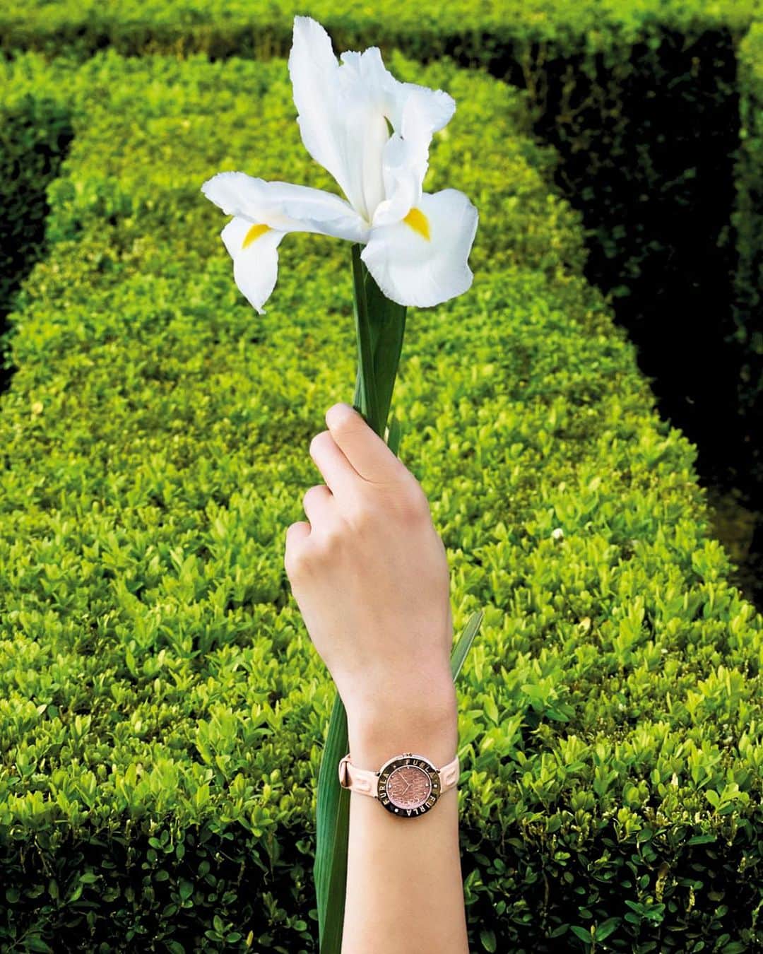 フルラのインスタグラム：「Picking flowers. Furla Watches are poised to complement all your fall style aspirations.  #ItalybyFurla #FurlaFW23  Photographer: Koto Bolofo (@kotobolofo) Art Direction and graphic design by Roberto Da Pozzo (@roberto_da_pozzo)」