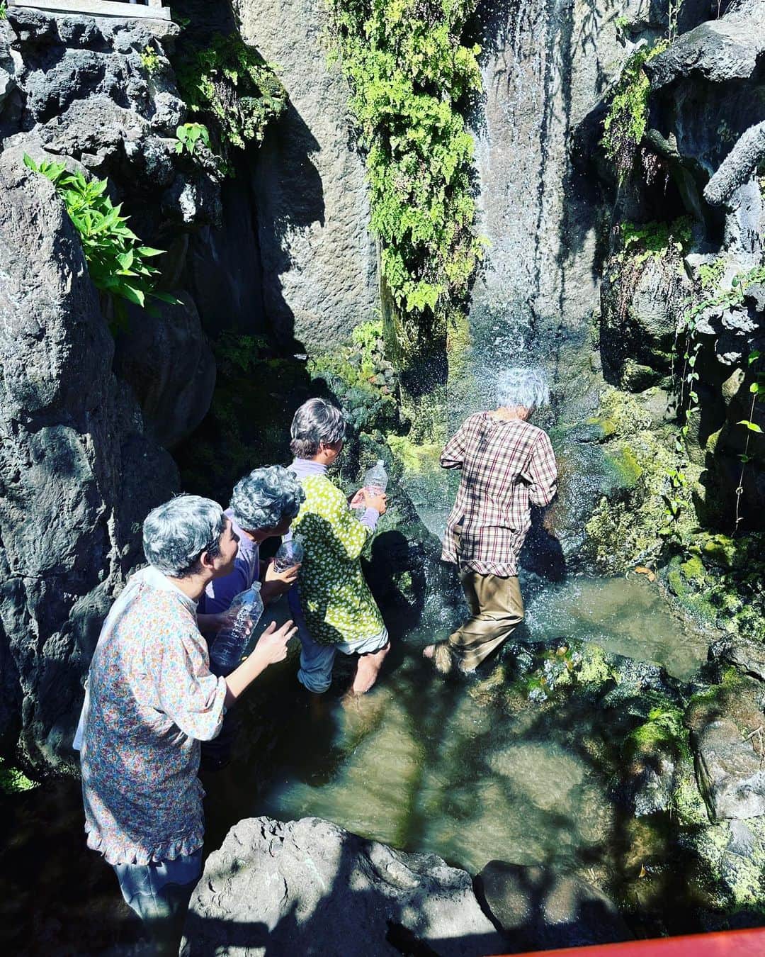 有吉弘行のインスタグラム：「元気。」