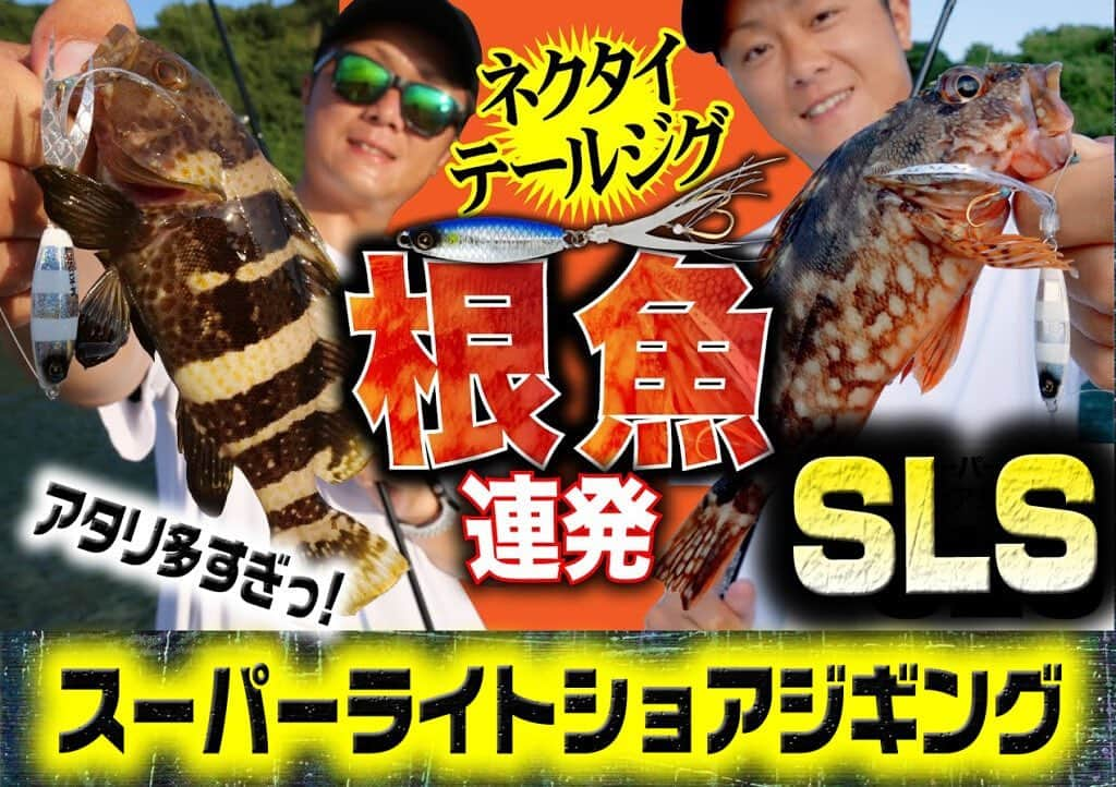 LureNews.TVさんのインスタグラム写真 - (LureNews.TVInstagram)「【スーパーライトショアジギング】ネクタイ付きマイクロジグで根魚連発！豆クネクネで夏の夕涼みSLSを満喫！  #橋本翔大 #ジャックアイ豆クネクネ #SLS #スーパーライトショアジギング #ショアジギング #ショアジギ #ハヤブサ #ルアーニュース  @sns_hayabusa  @shota_hayabusa_official」9月13日 19時21分 - lurenews