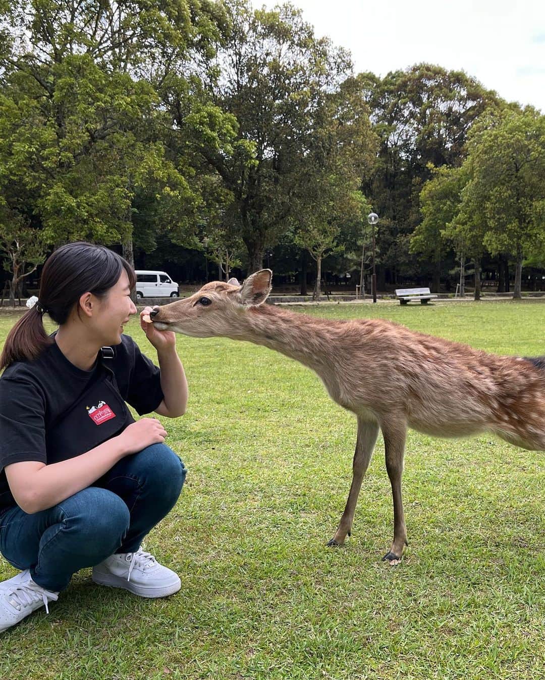 尾上彩さんのインスタグラム写真 - (尾上彩Instagram)「奈良公園で鹿と戯れた日🦌🌿 ・ ・ ・ #奈良公園 #奈良公園の鹿 #鹿 #deer」9月13日 19時32分 - aya_onoe