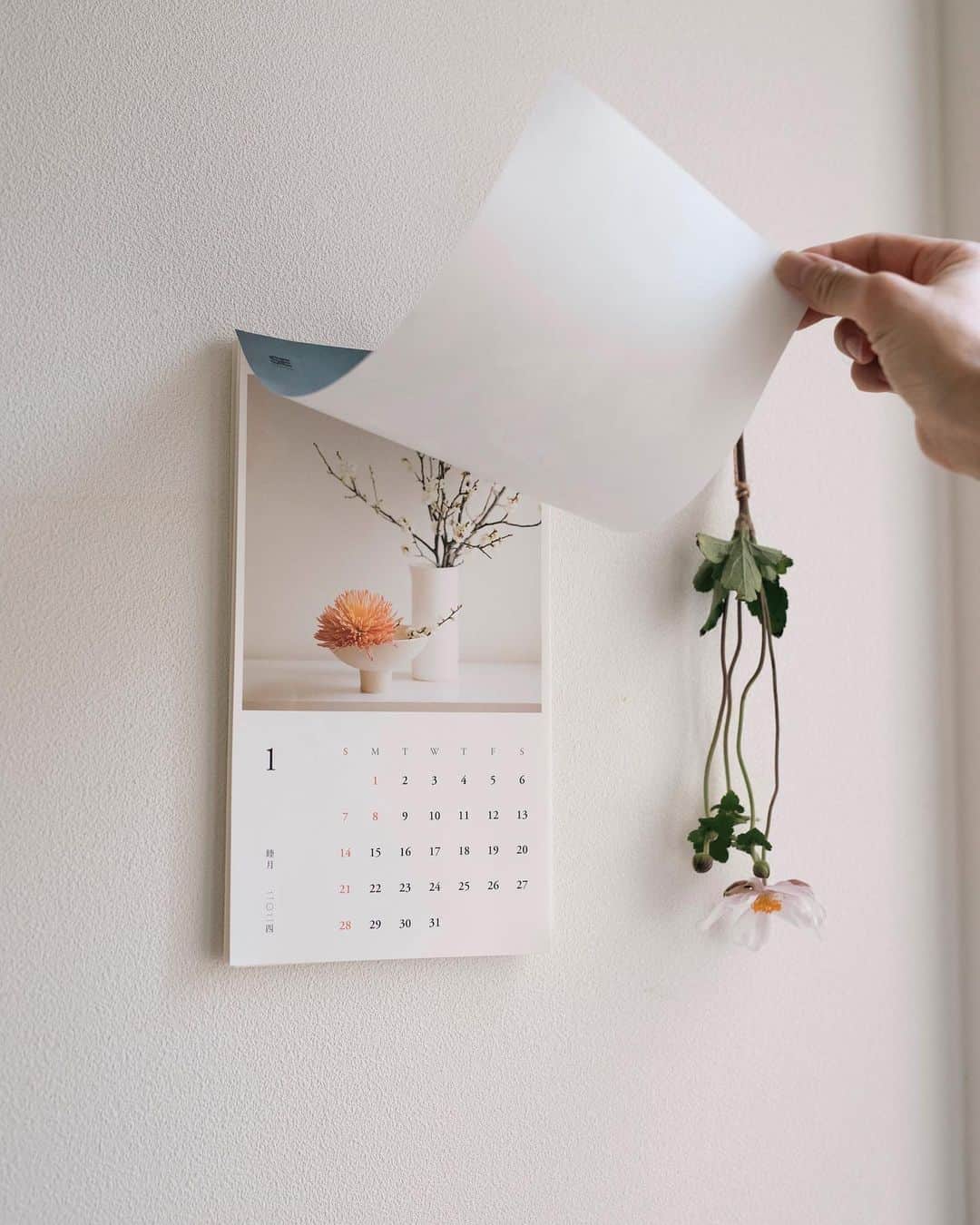 増田由希子さんのインスタグラム写真 - (増田由希子Instagram)「My 2024 calendar is now available!  (Only available in Japan) #calender2024 🍁「花のある暮らしカレンダー2024」発売のお知らせ🍁  日々撮りためてきた花の写真が一冊のカレンダーになりました。月毎に、花にまつわるミニコラムも掲載しています。 写真は、切り離してフォトカードとしてお楽しみいただけます。  このカレンダーがみなさまの毎日に寄り添い、花のある暮らしをより豊かなものにしてくれますように。  「花のある暮らしカレンダー2024」(翔泳社) @kurashi_hon  全国書店、Amazon、楽天ブックス他にて発売中。 #花のある暮らしカレンダー　#カレンダー」9月13日 19時52分 - nonihana_