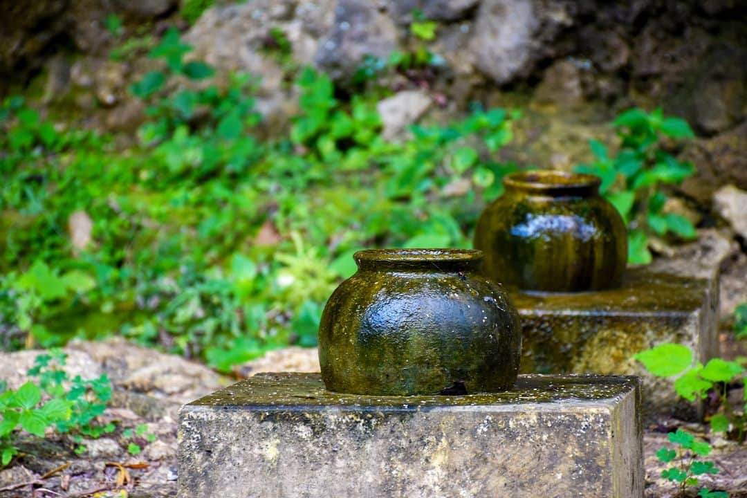 Be.okinawaさんのインスタグラム写真 - (Be.okinawaInstagram)「"Utaki" refers to the sacred areas for worship and prayer in Okinawa, and the Sefa Utaki is a UNESCO World Heritage Site known for its ancient prayer culture.   Considered one of the most sacred sites in the Ryukyu Kingdom, the Sefa Utaki is still visited by locals and pilgrims today. Feel the deep thoughts and prayers that convey the gratitude of the faithfuls when visiting Sefa Utaki.  #japan #okinawa #visitokinawa #okinawajapan #discoverjapan #japantravel #okinawatradition #okinawascaredsites #unesco #okinawaheritage #utaki #sefuutaki」9月13日 20時00分 - visitokinawajapan